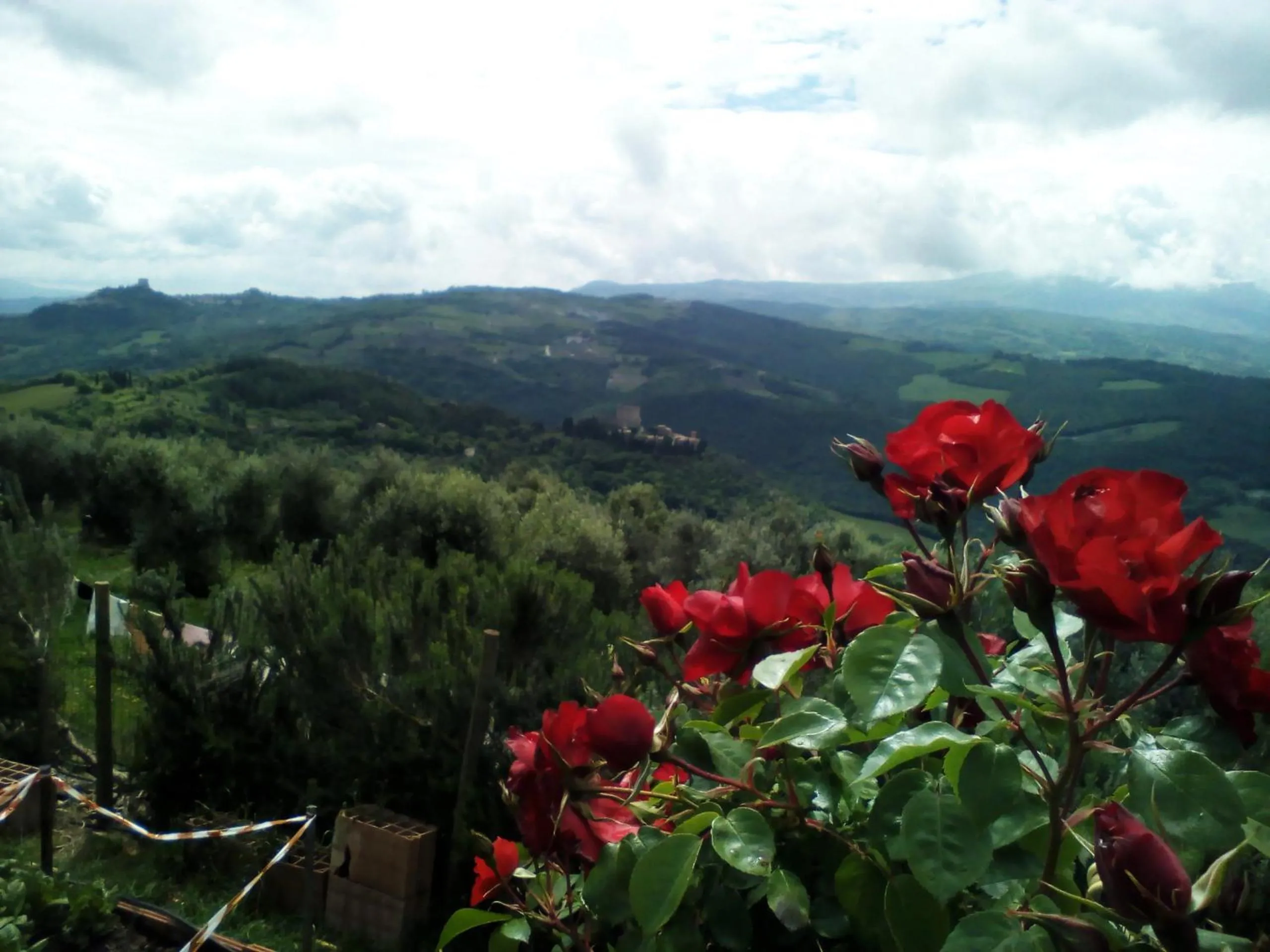 Poggio Al Vento