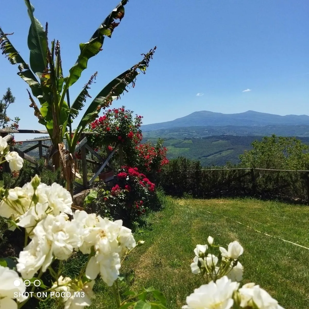 Poggio Al Vento