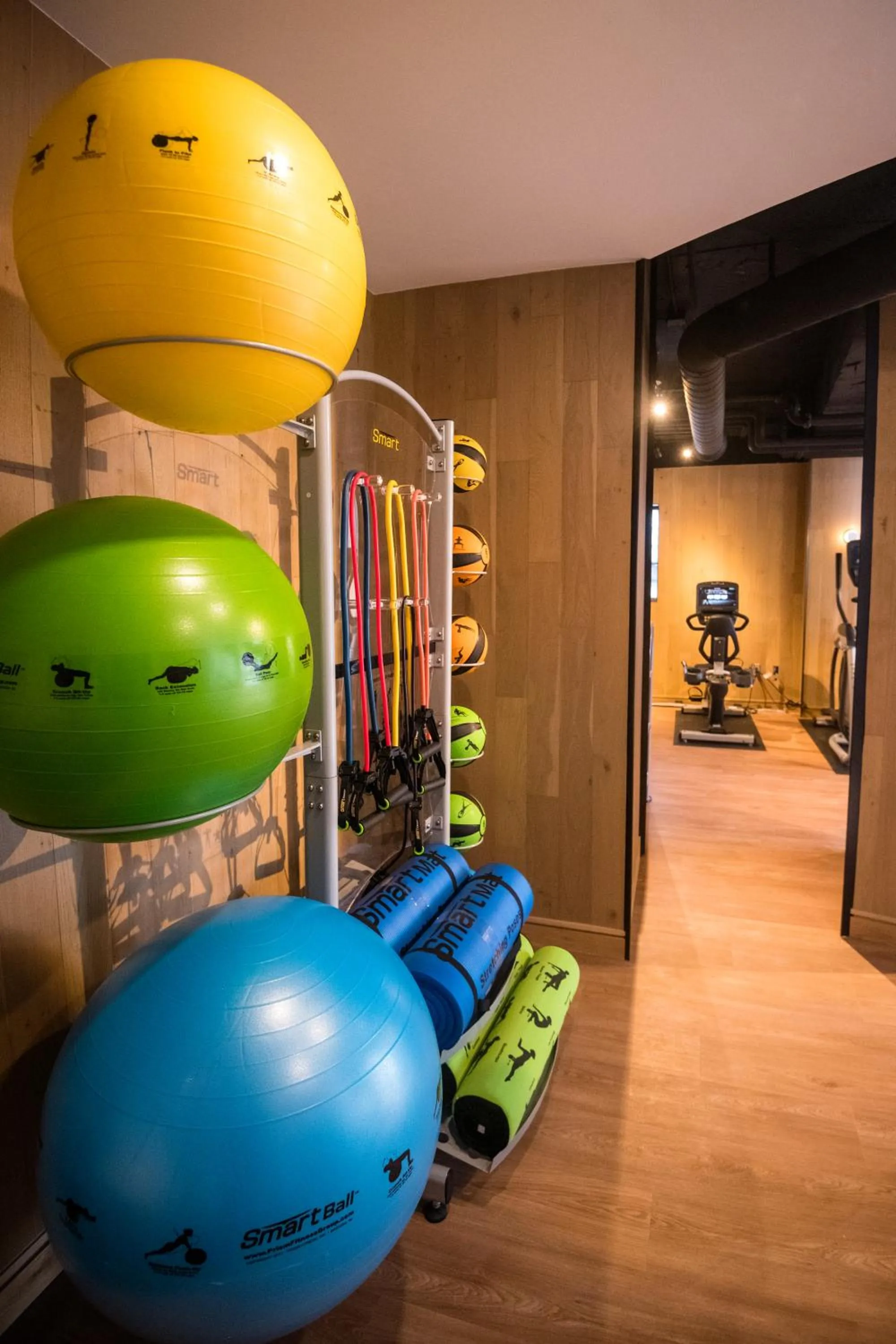 Fitness centre/facilities in The Windsor Suites