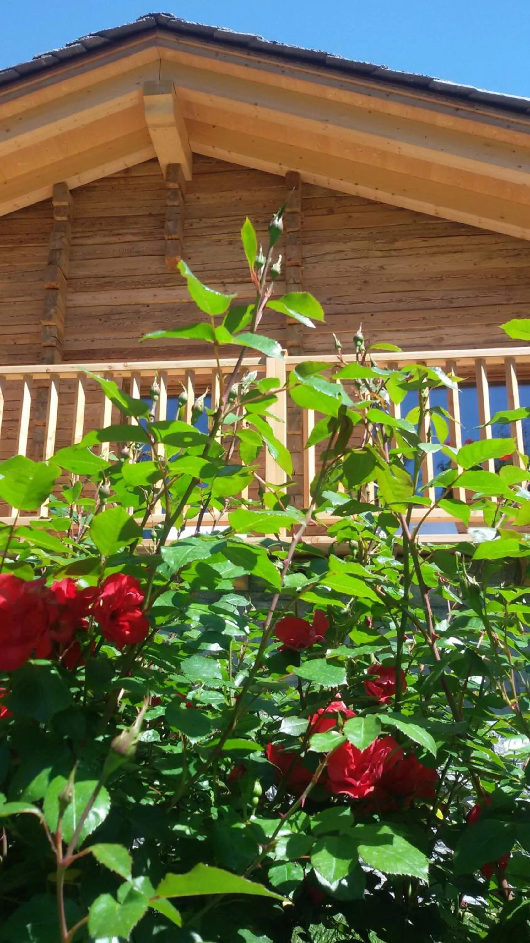 Spring in Hotel Des Roses