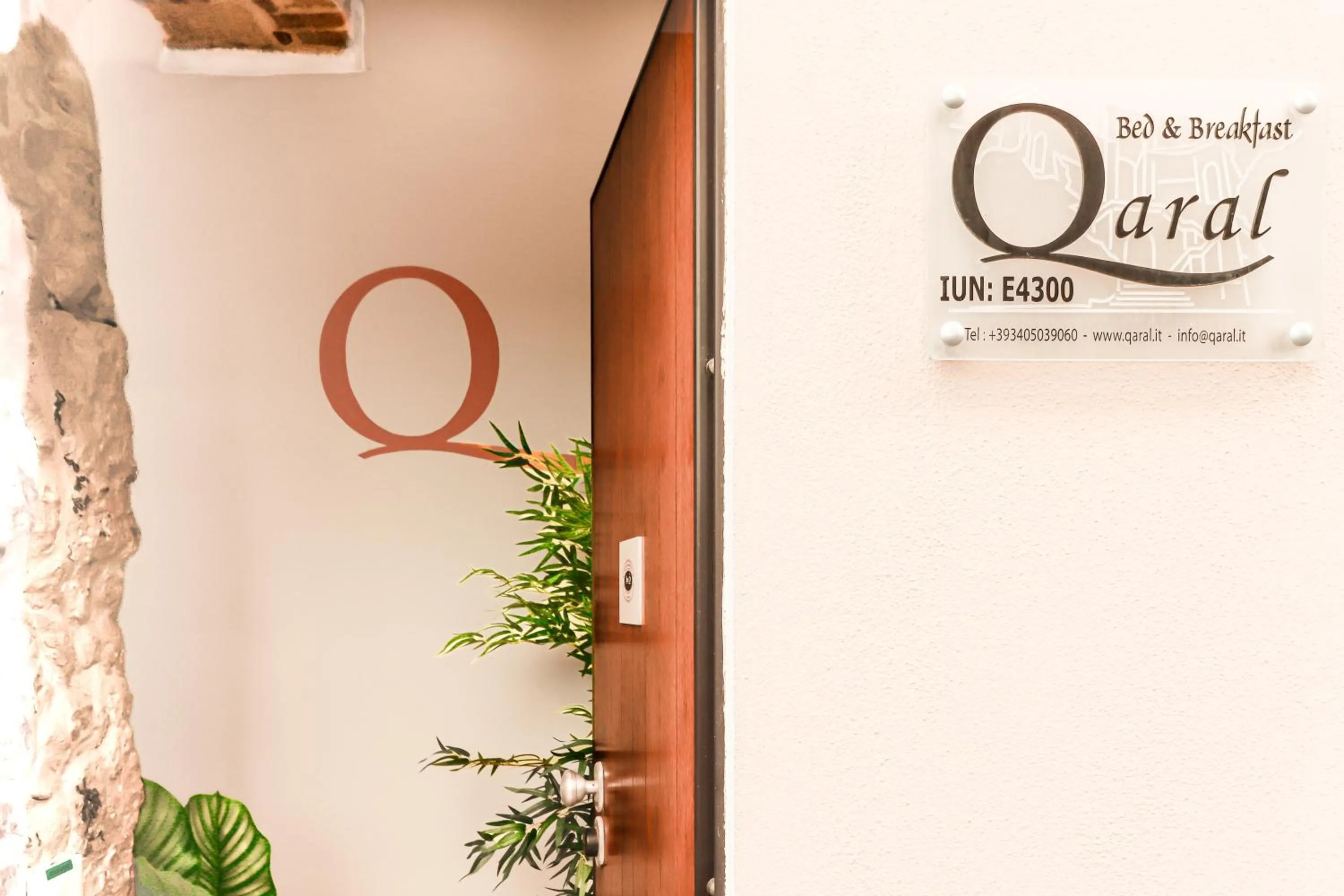 B&B Qaral