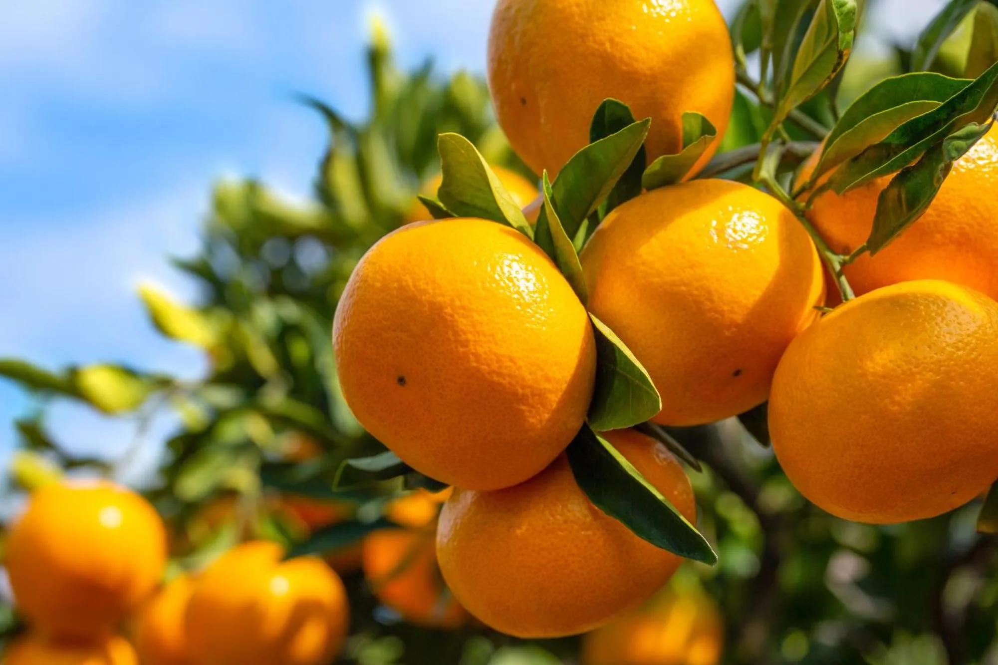 Nearby landmark in Tabist Business Hotel Suehiro Matsuyama