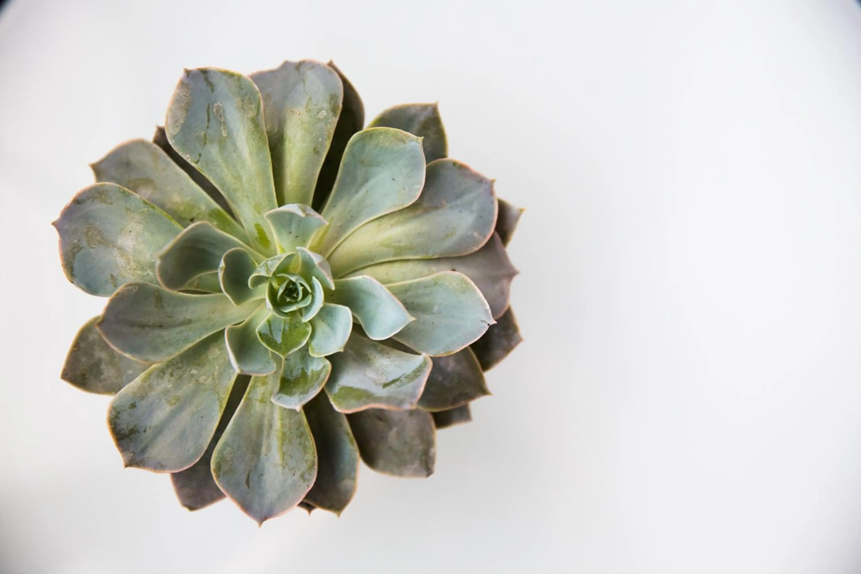 Other in Mosaic Hotel Beverly Hills