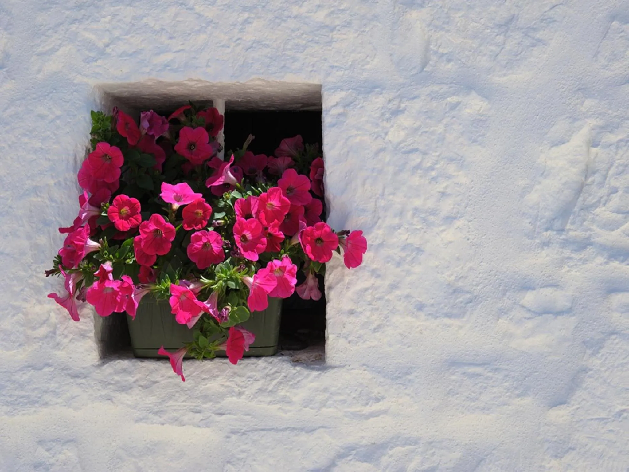 Facade/entrance in Romantic Trulli
