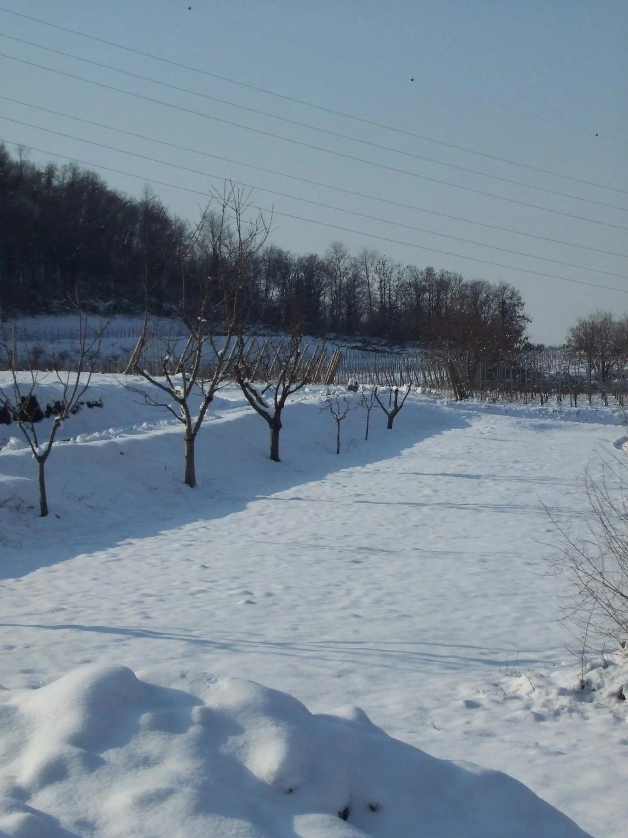 Area and facilities in Agriturismo Cascina Rossano
