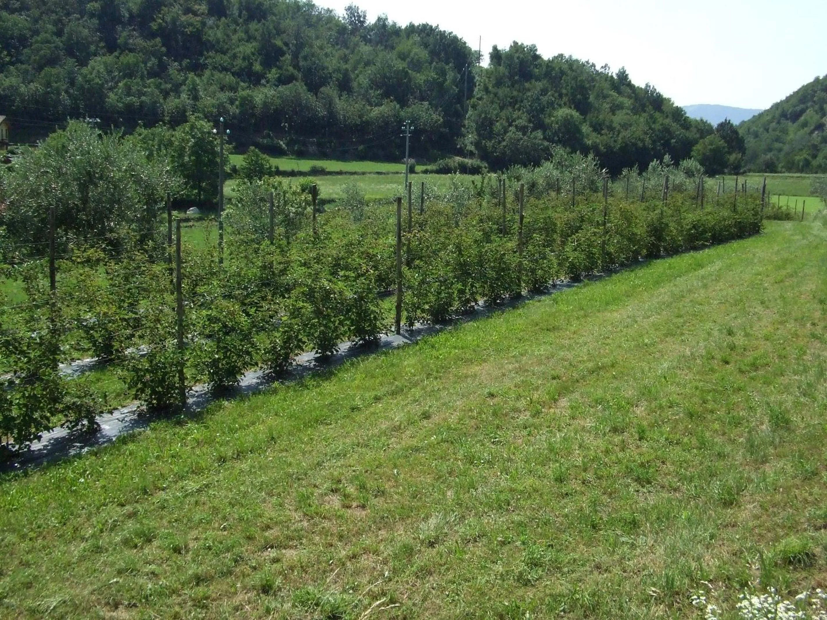 Area and facilities in Agriturismo Cascina Rossano