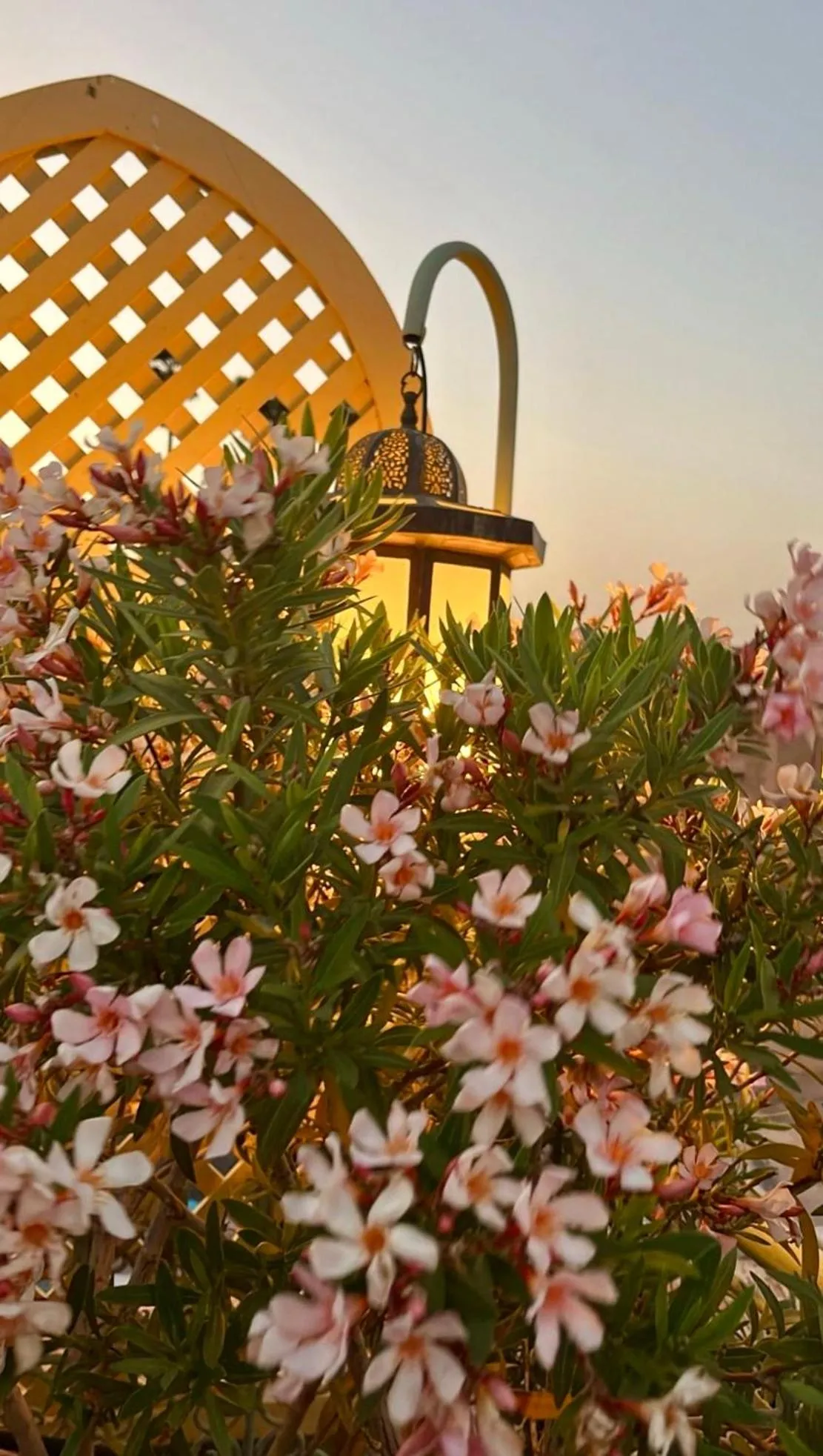 Riad Zouhour