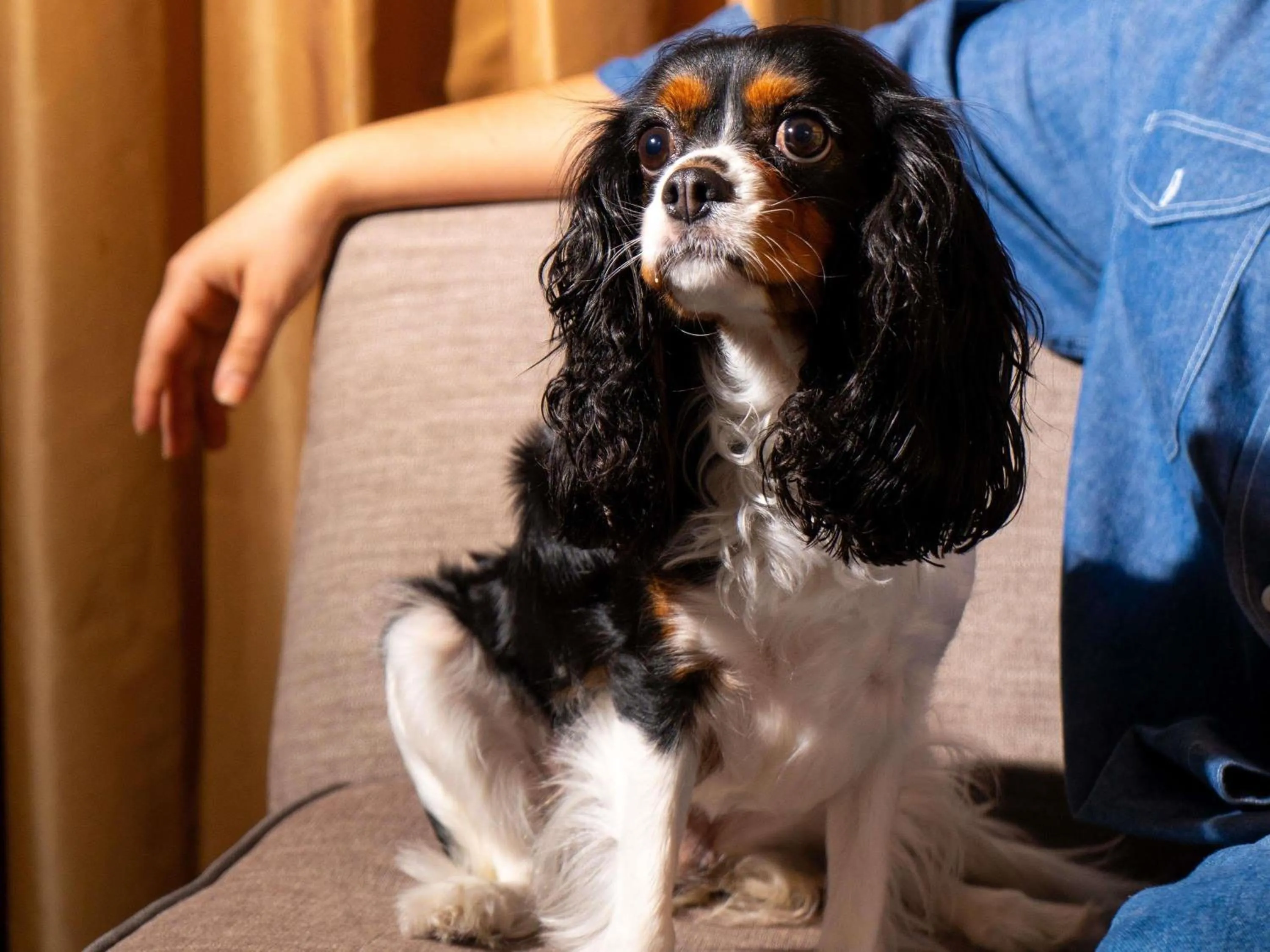Property building in Sofitel Philadelphia at Rittenhouse Square