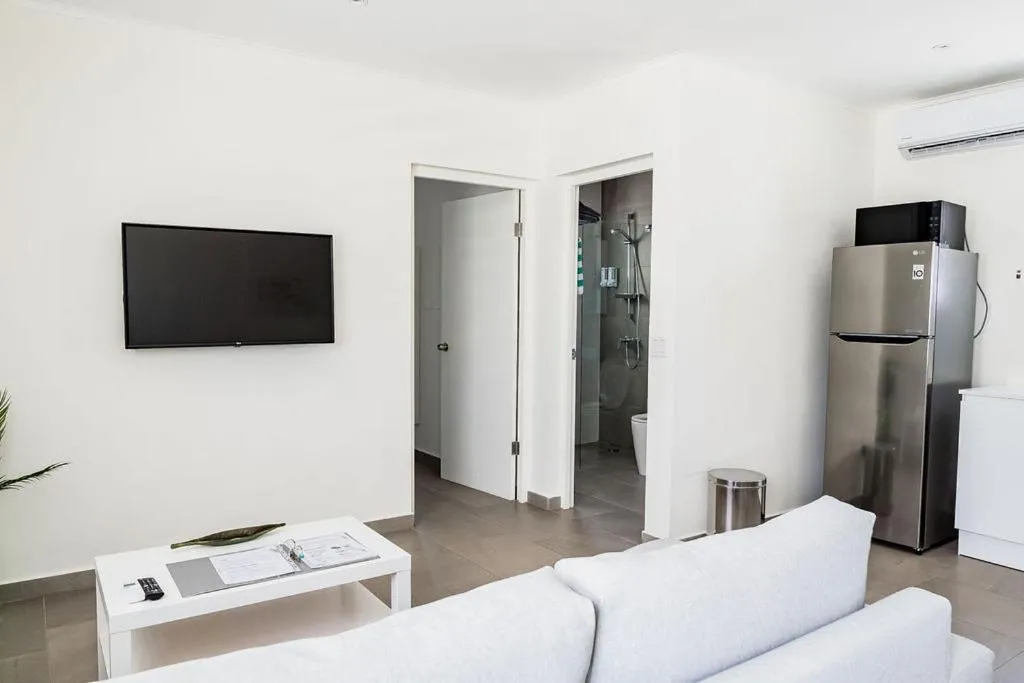 TV and multimedia in The Palm Leaf Apartments