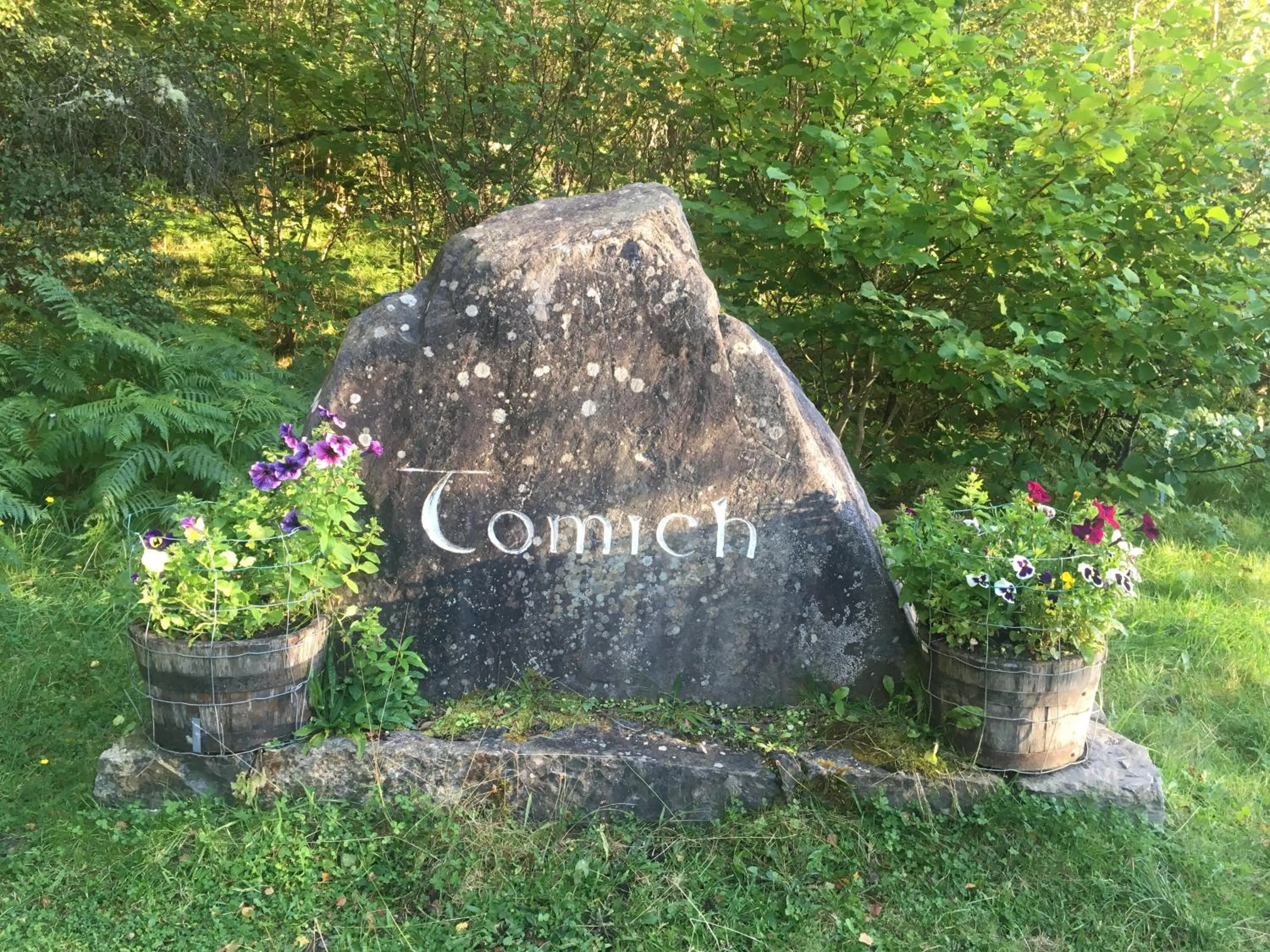 Neighbourhood in The Tomich Hotel