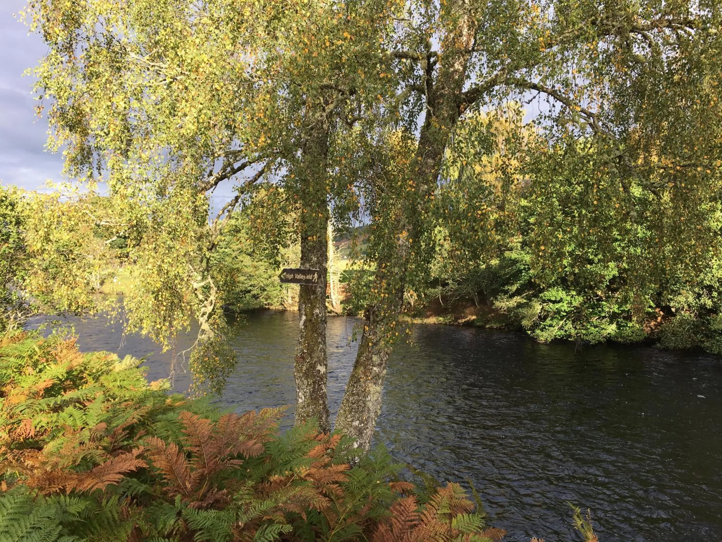Neighbourhood in The Tomich Hotel