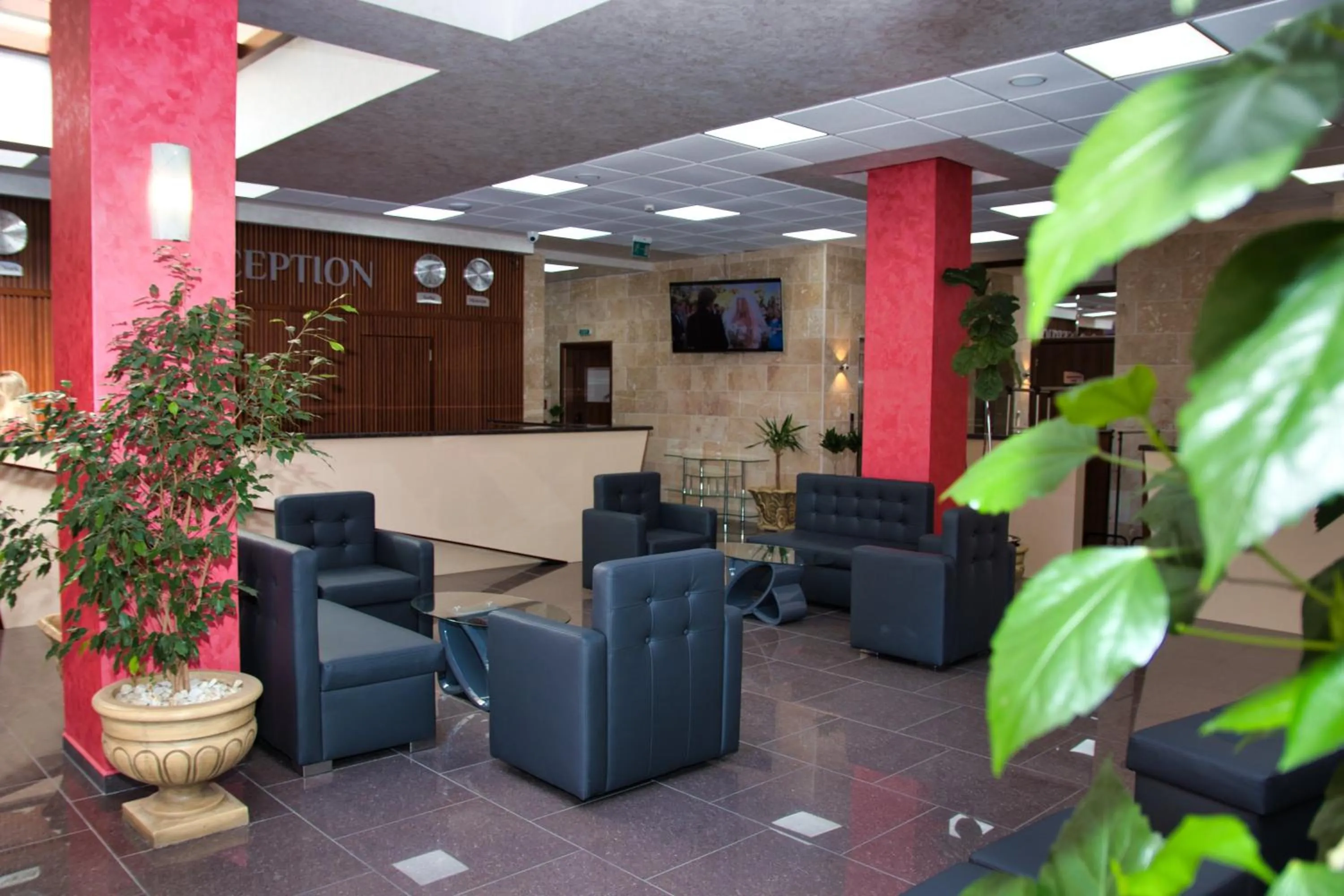Lobby or reception in Balneo and SPA Complex MINERAL YAGODA