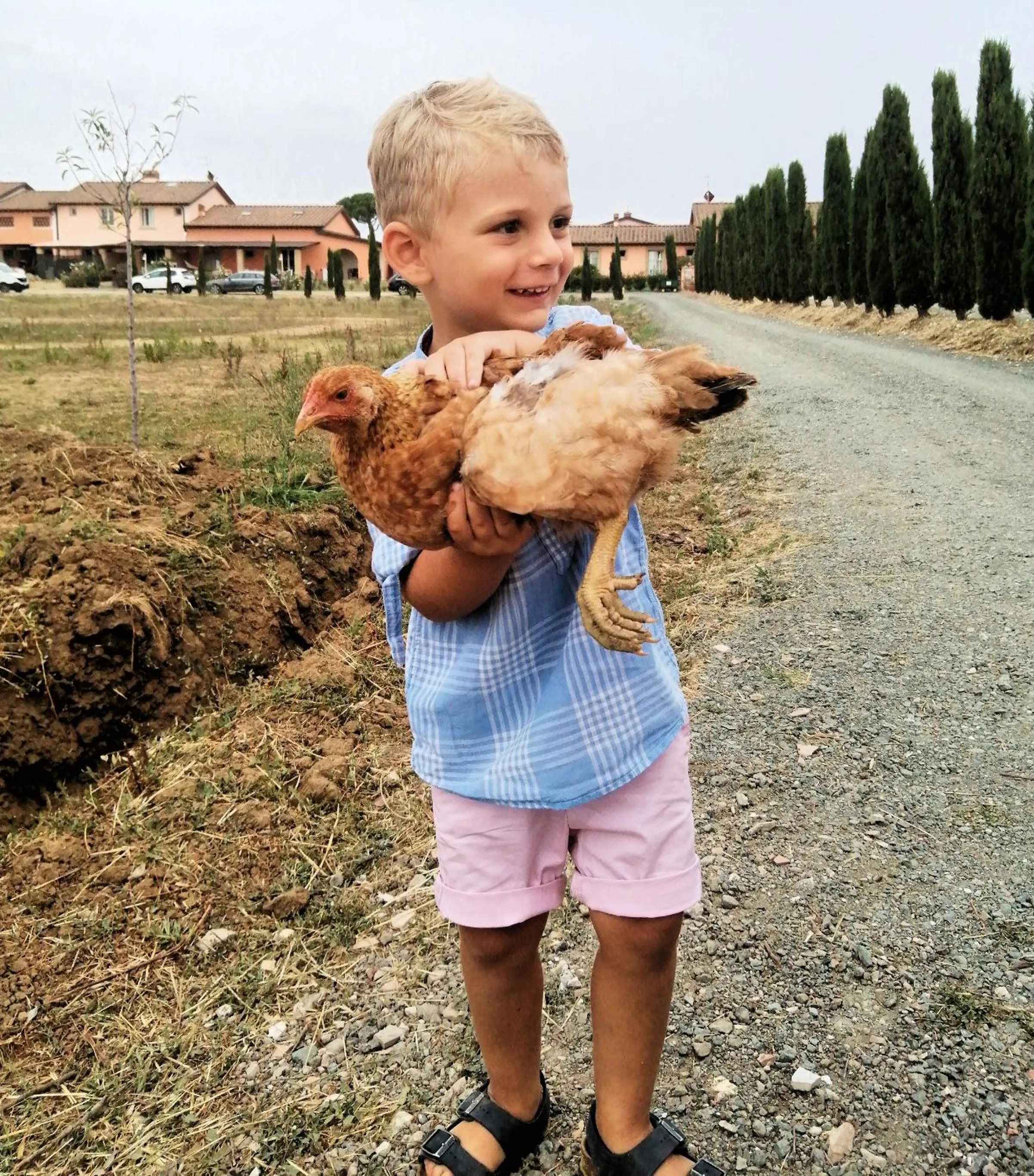 children in Fattoria Palazzeta - Pet & Family Friendly