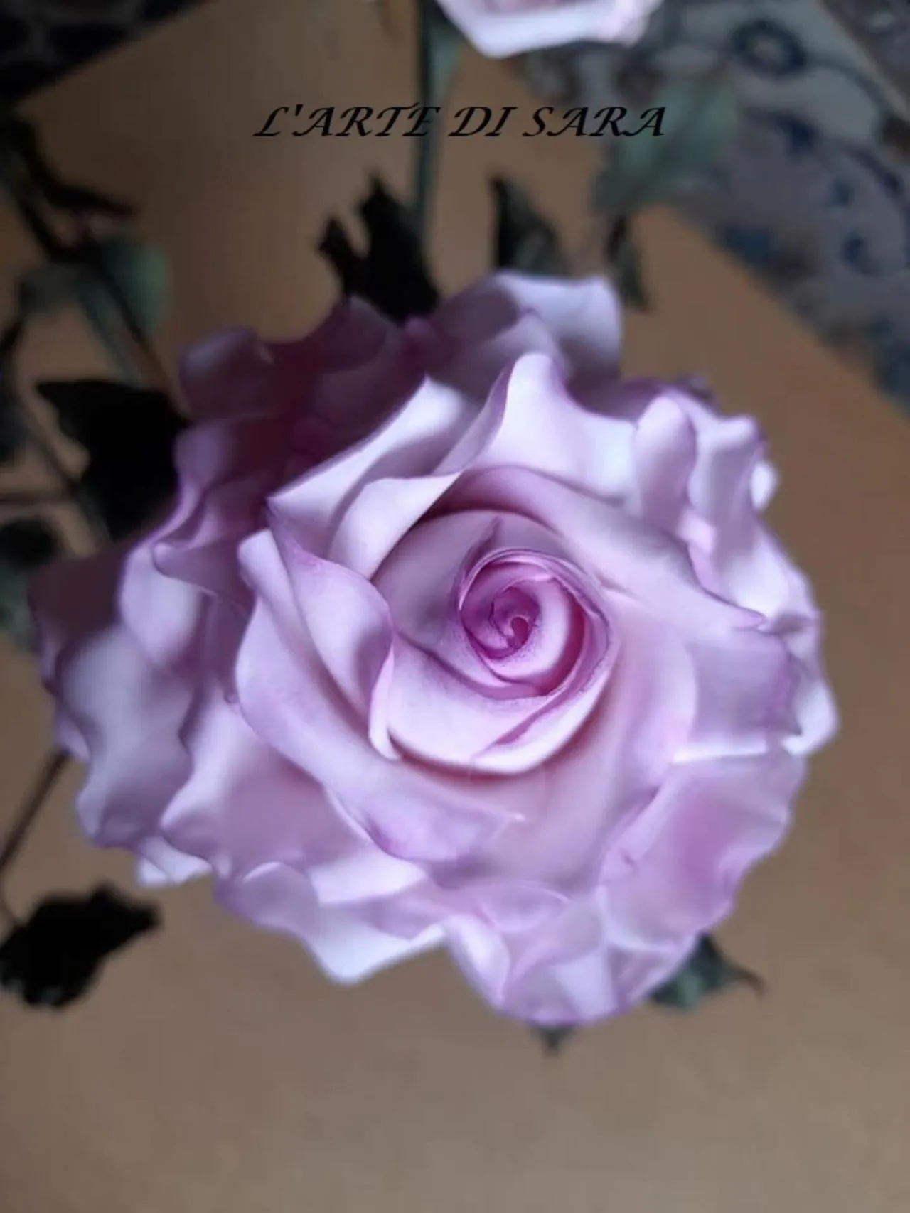 Activities in La Luna