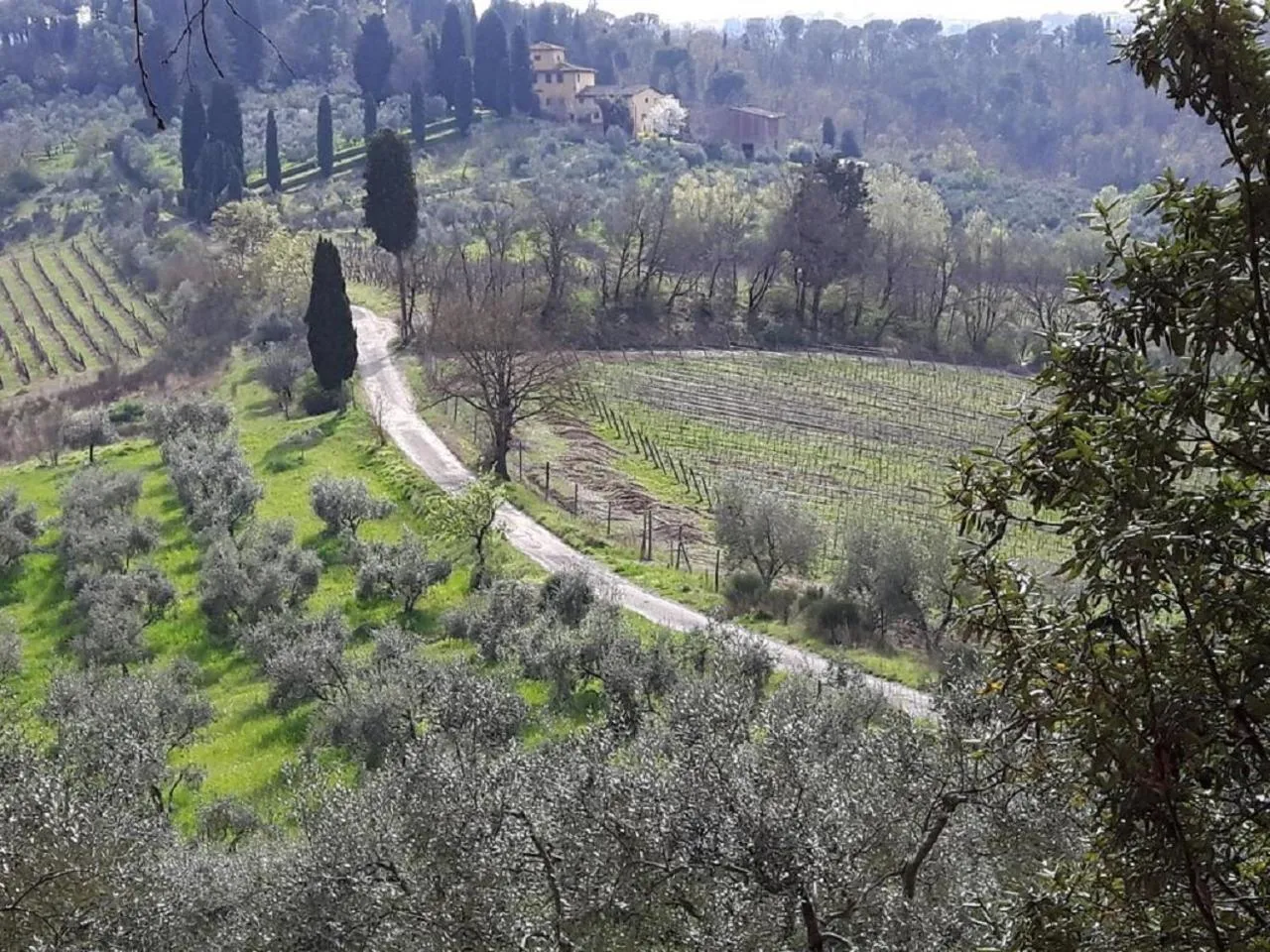 Nearby landmark in La Luna