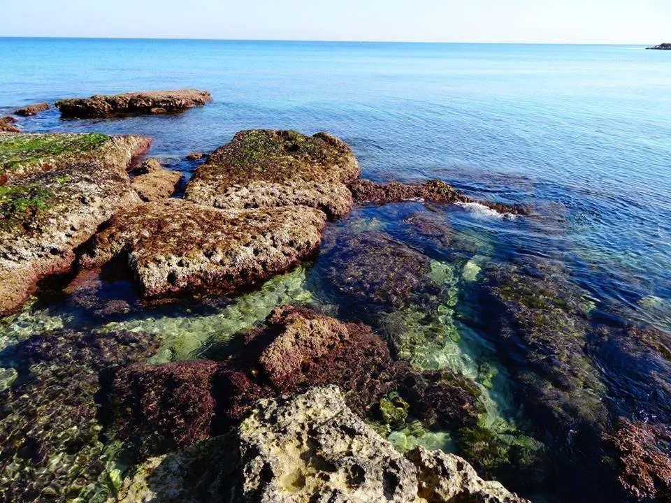 Beach in Villa Longo de Bellis