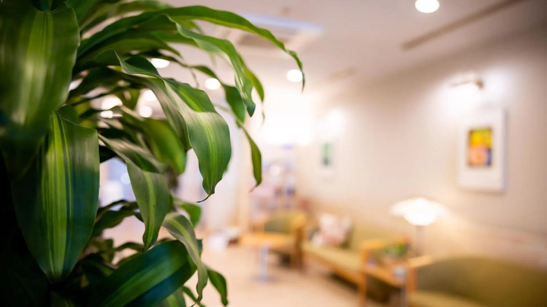 Seating area in Hotel Dorf Shizuoka
