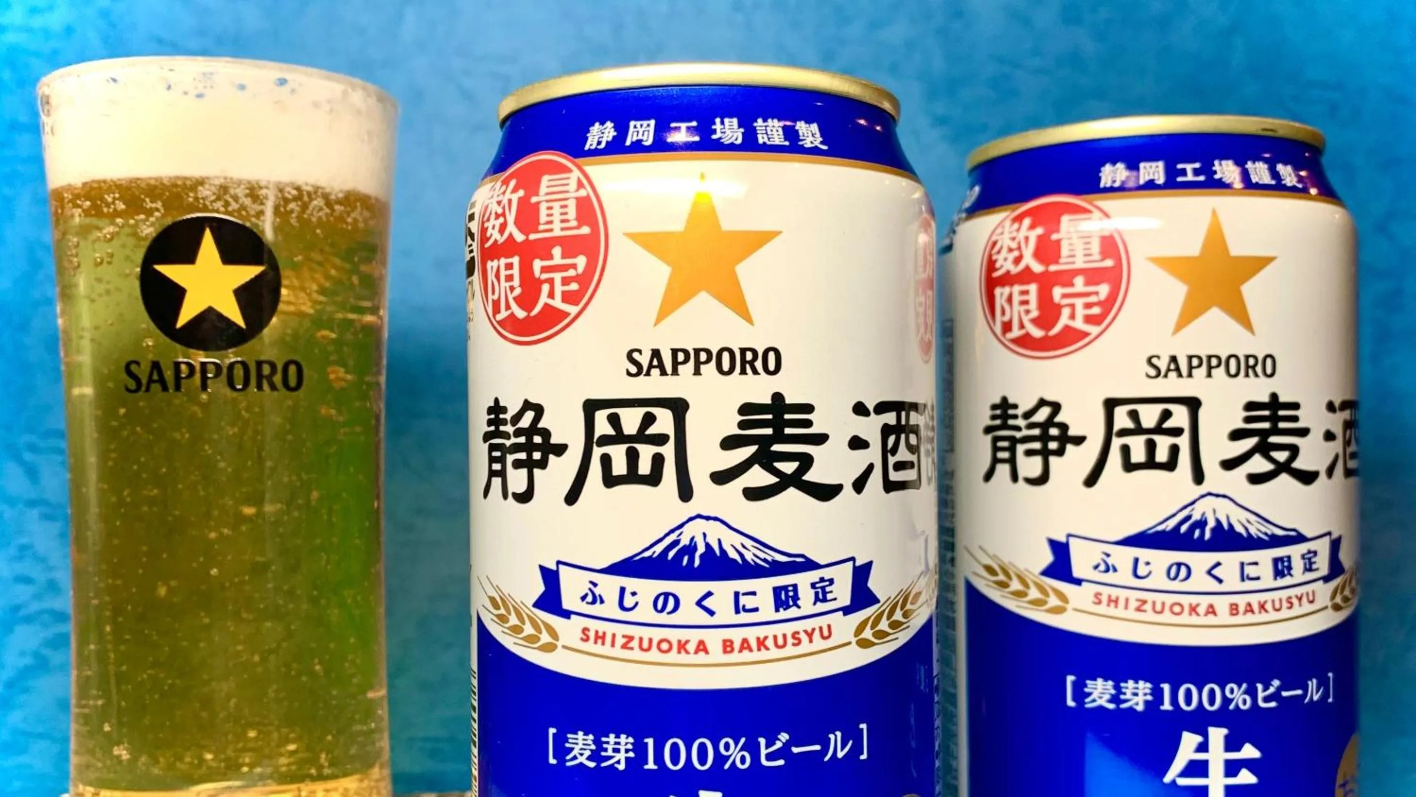 Lounge or bar in Hotel Dorf Shizuoka