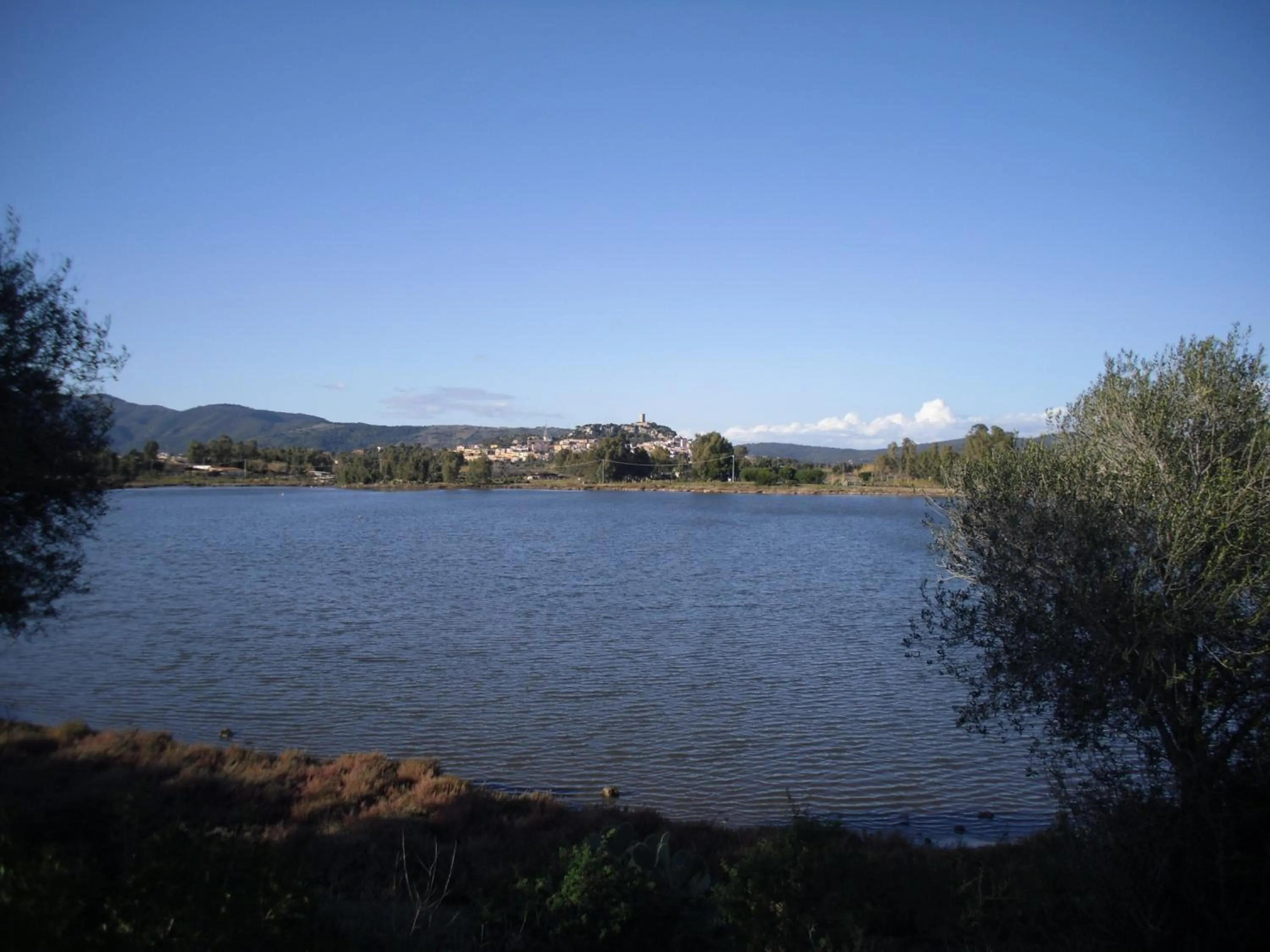 Natural landscape in B&B La Collina