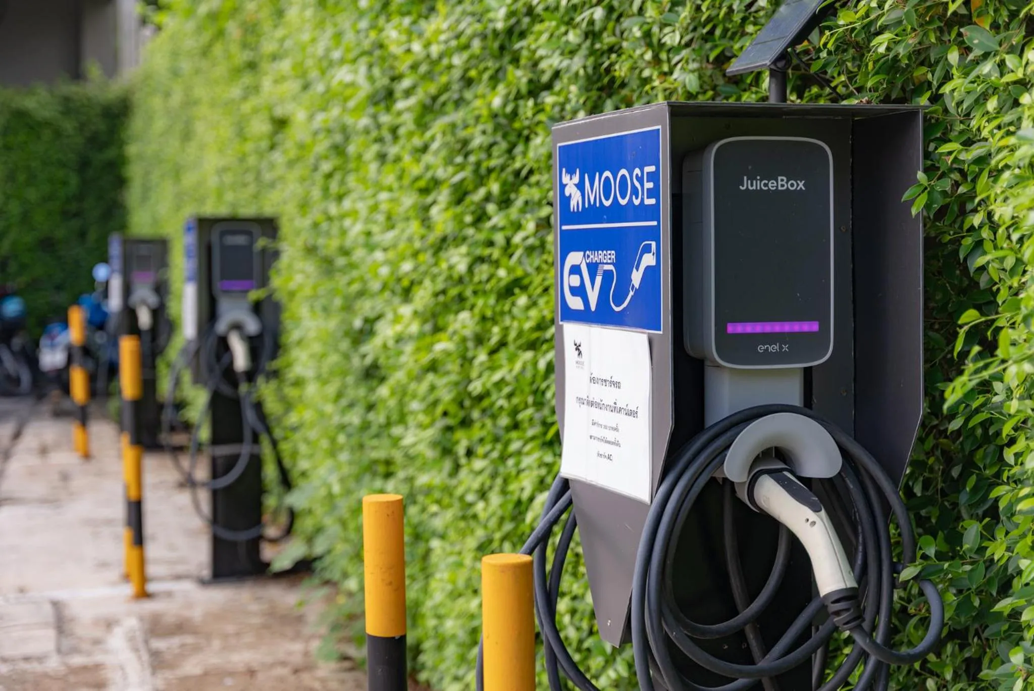 Area and facilities in Moose Hotel Chiangmai