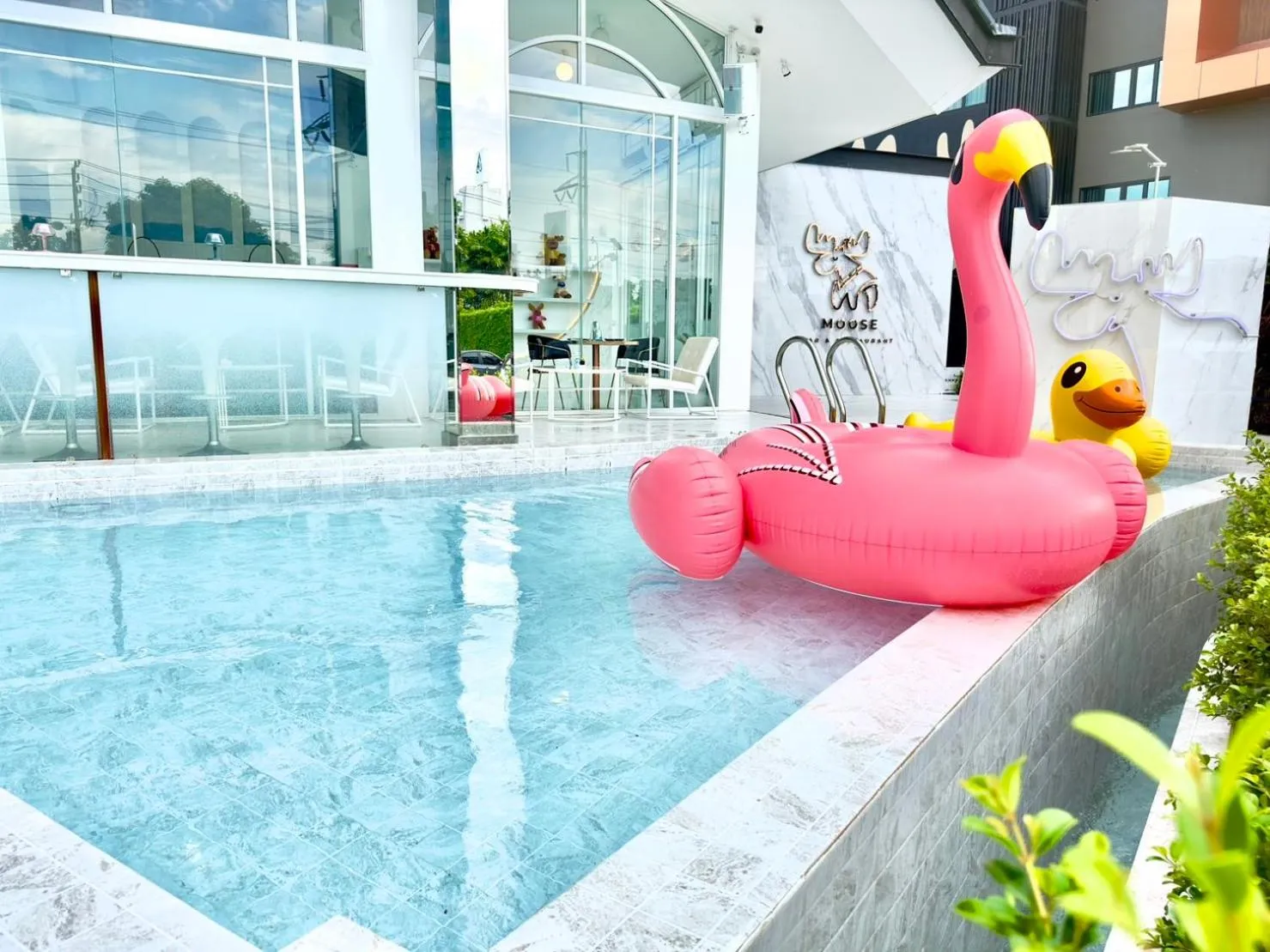 Swimming pool in Moose Hotel Chiangmai