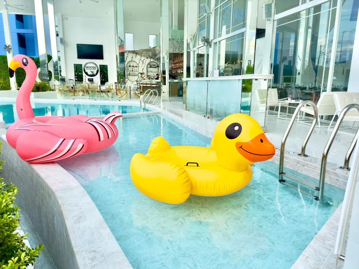 Swimming pool in Moose Hotel Chiangmai