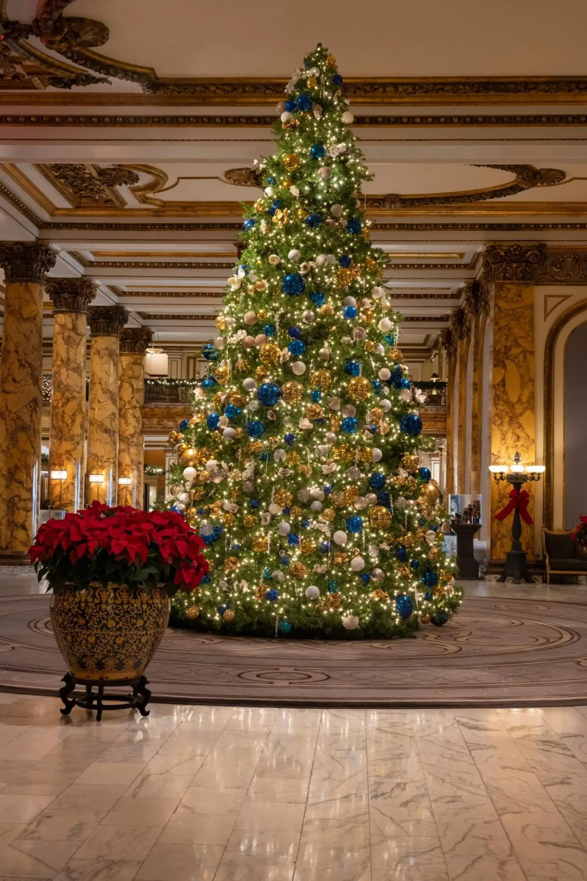 Property building in Fairmont San Francisco Property building in Fairmont San Francisco