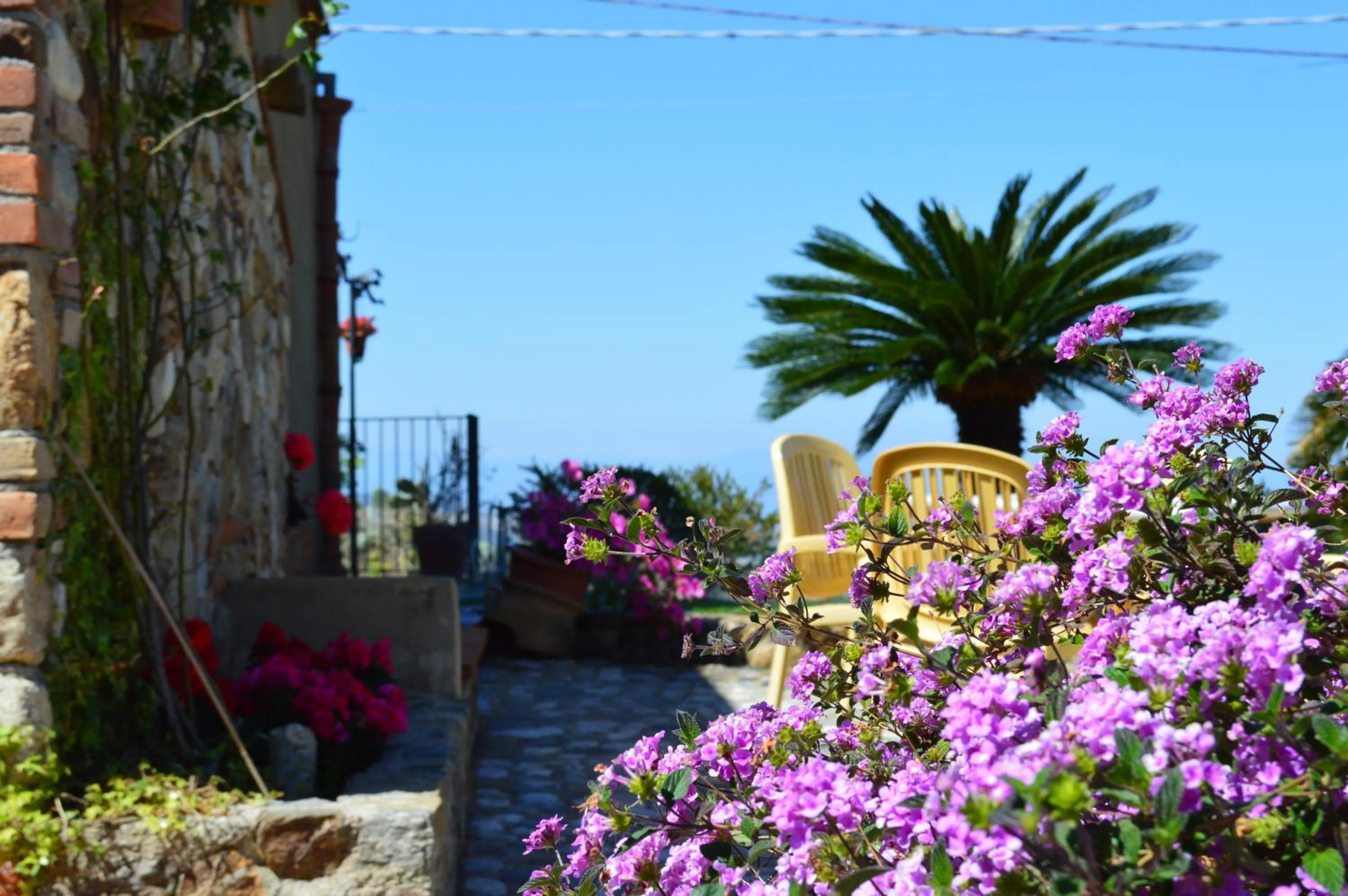 Garden view in Villa Quiete