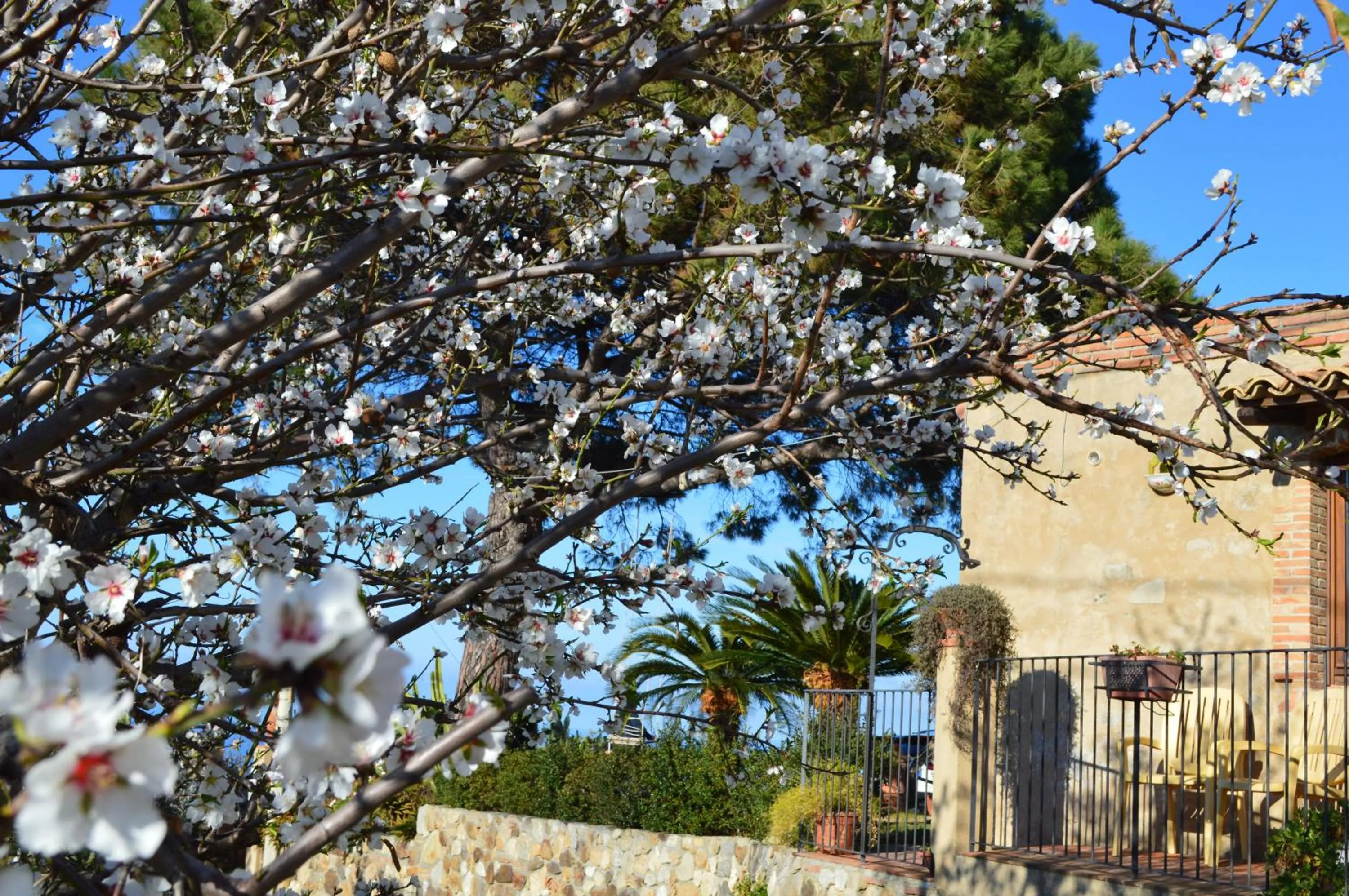Garden in Villa Quiete