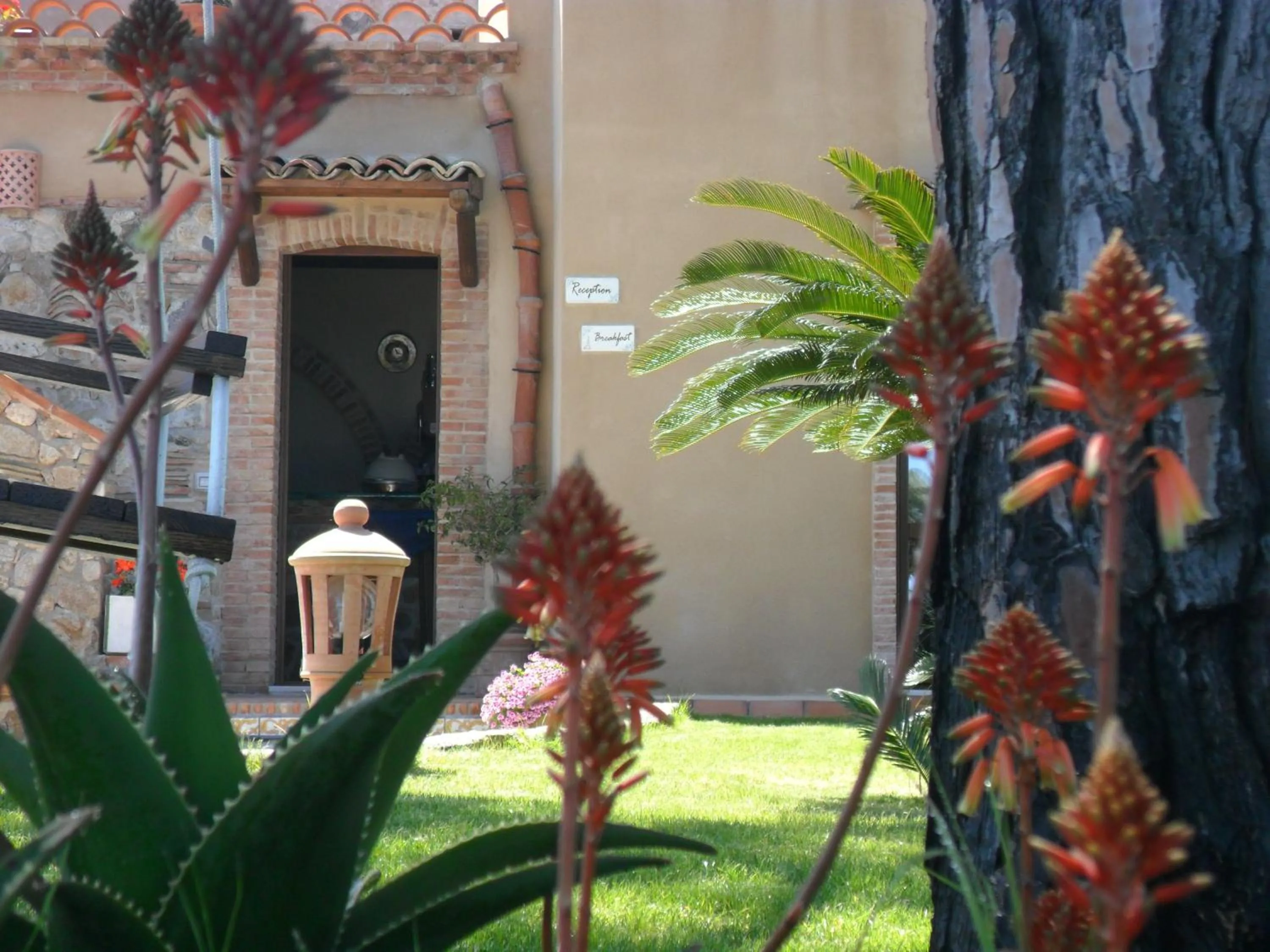 Garden in Villa Quiete