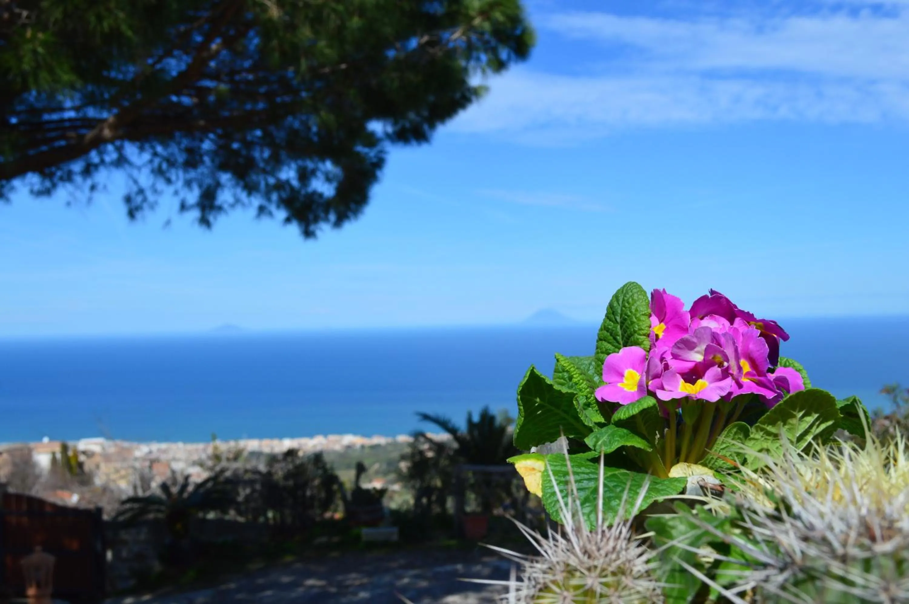 Sea view in Villa Quiete