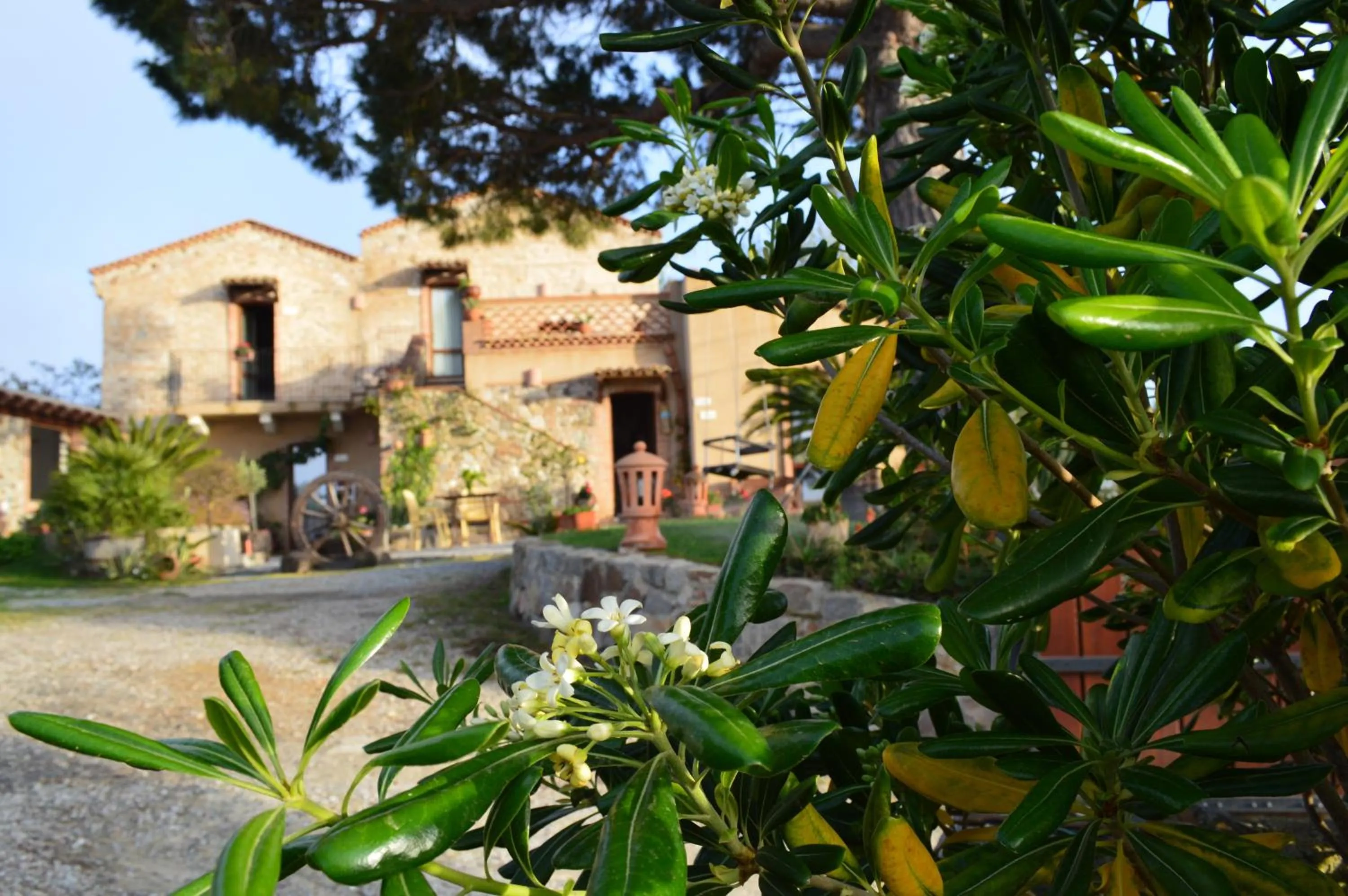 Property building in Villa Quiete