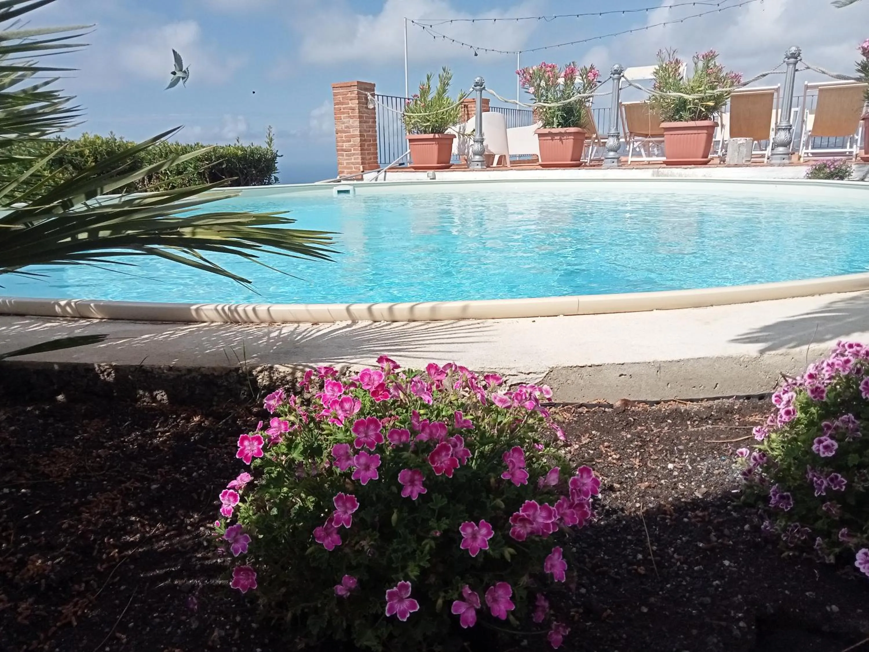 Swimming pool in Villa Quiete