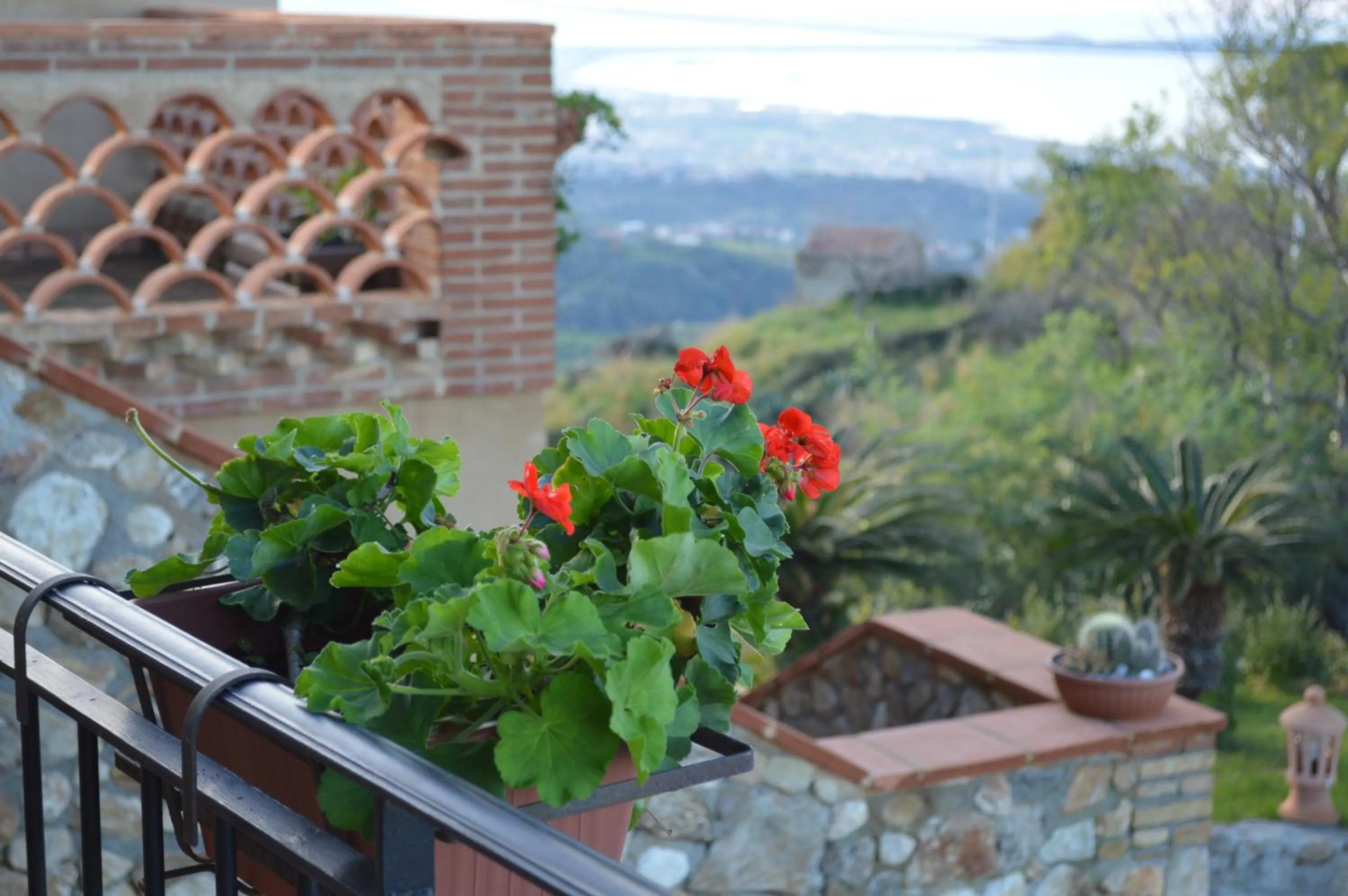 Balcony/Terrace in Villa Quiete