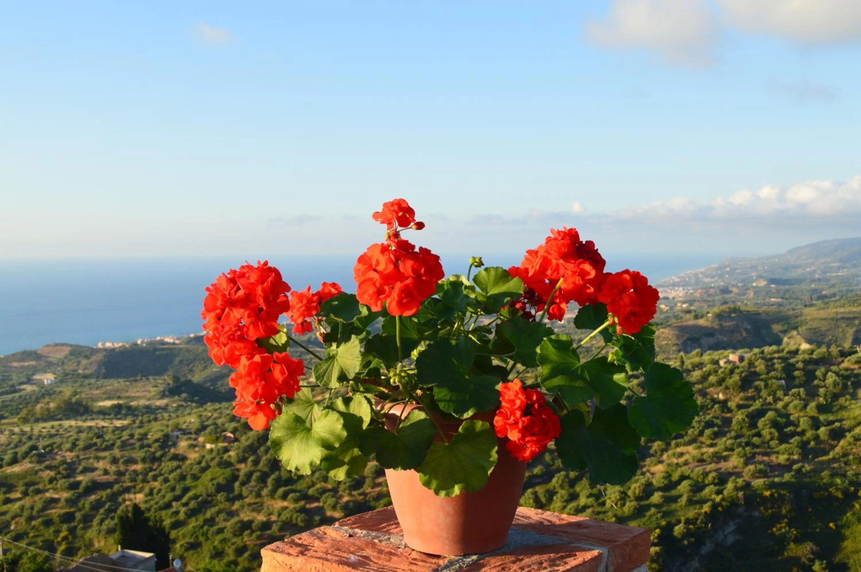 Garden in Villa Quiete