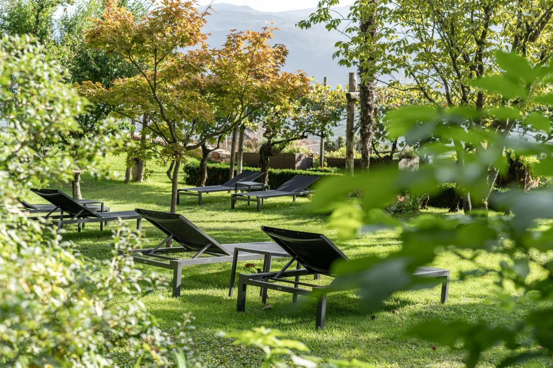 Garden in Ansitz Romani