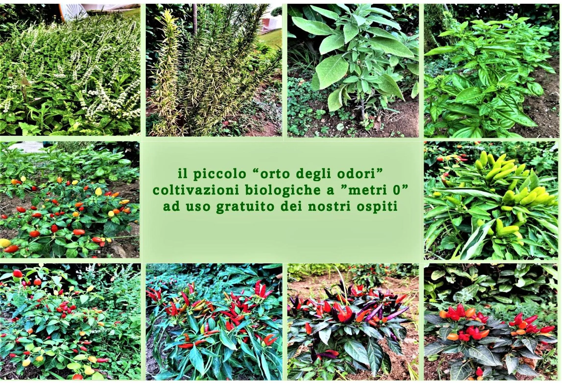 Garden view in Sporting Club Resort