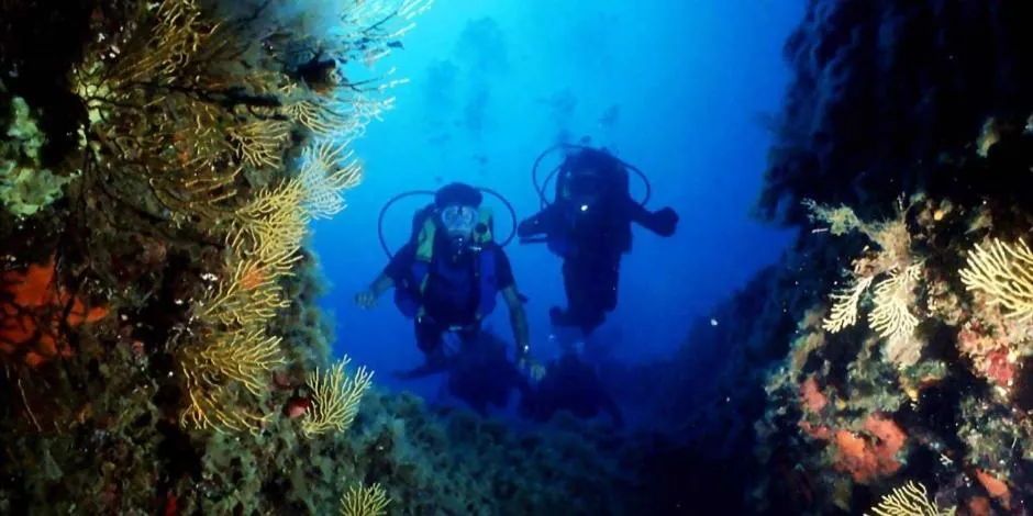 Natural landscape in Sporting Club Resort