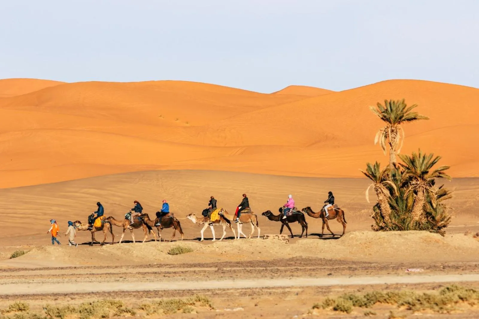 Activities in Riad Caravasar