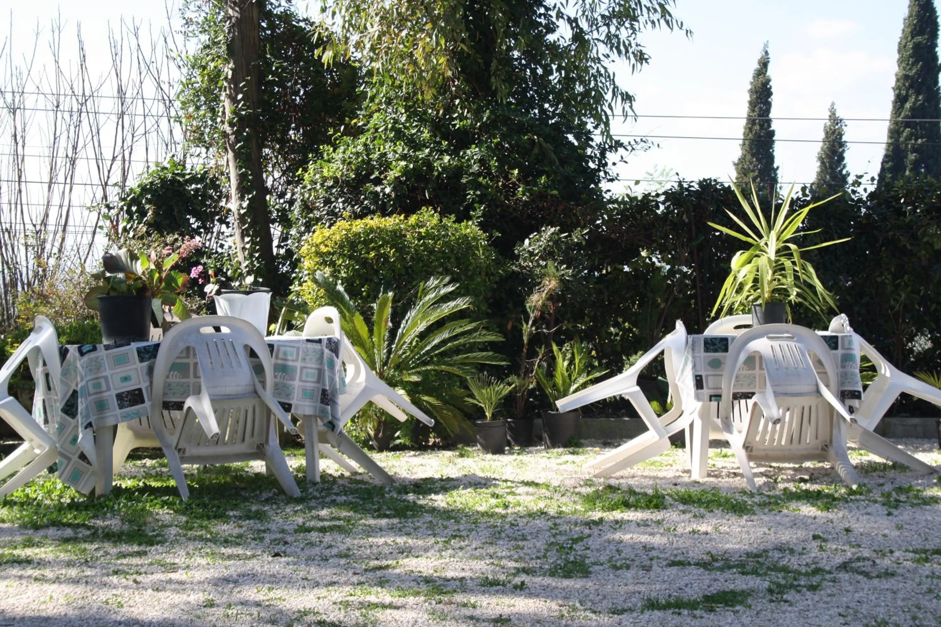 Garden in Al Seminario