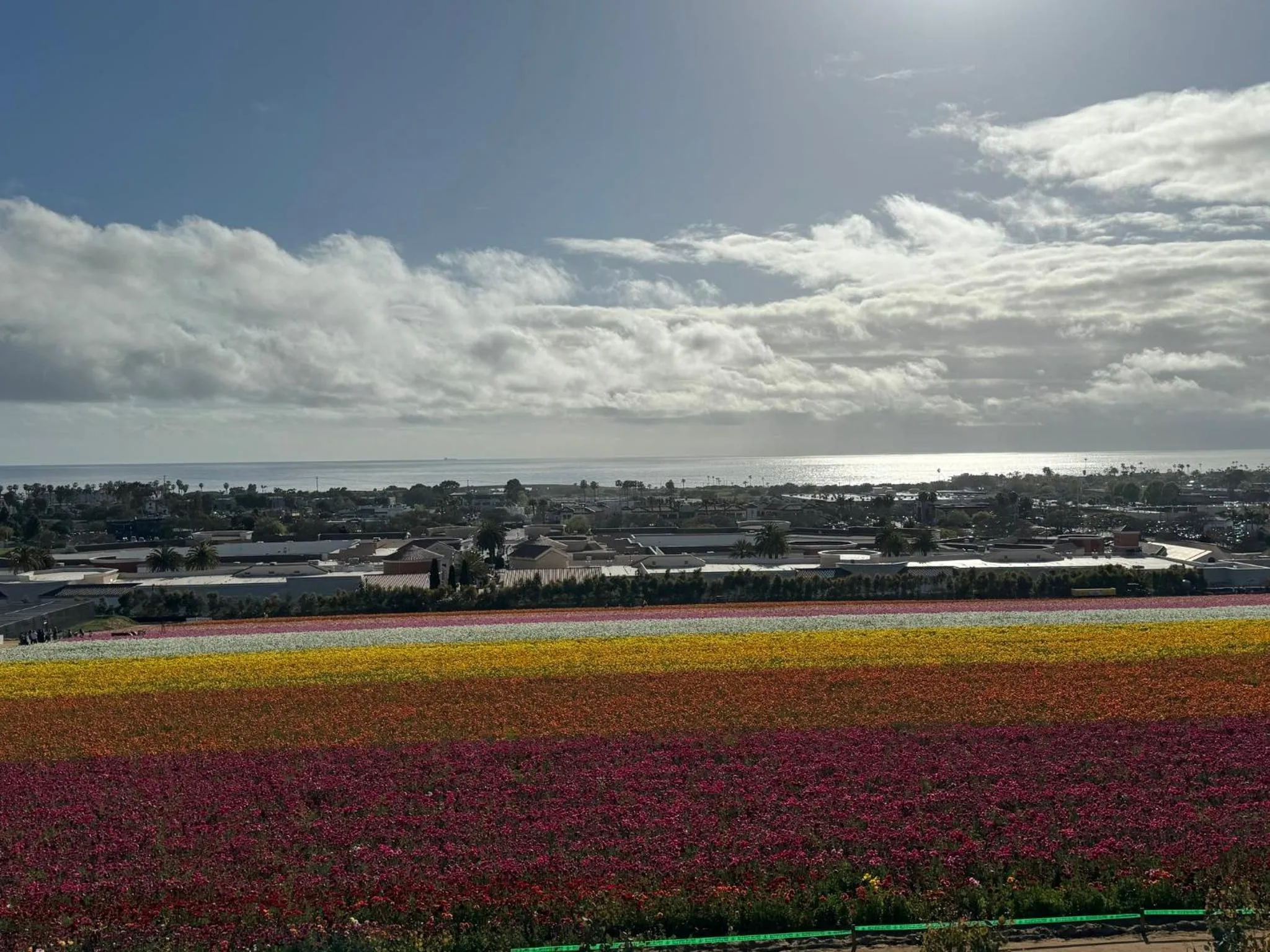 Nearby landmark in Holiday Inn Express Hotel & Suites Carlsbad Beach by IHG
