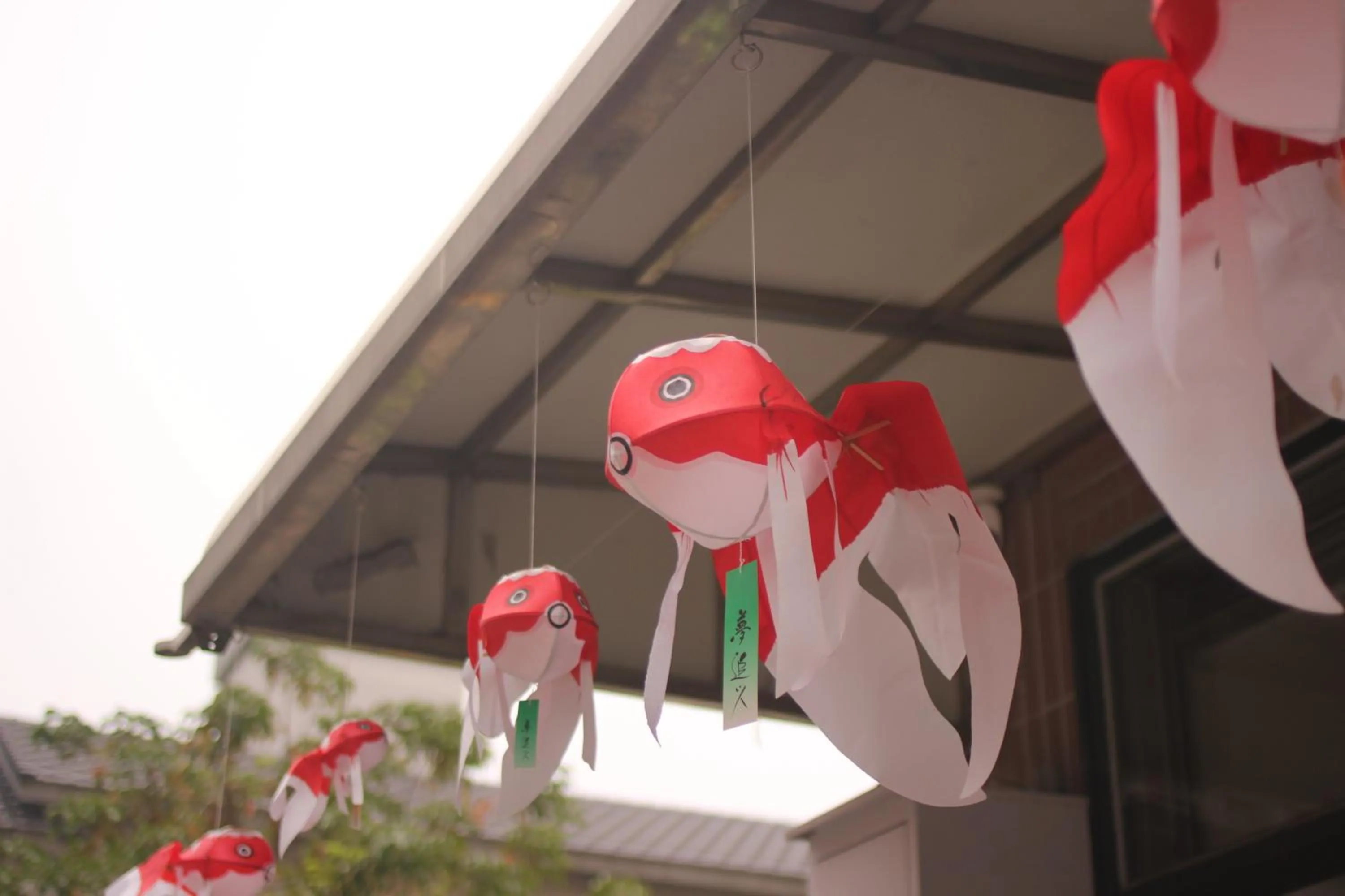 Property building in 梨幸日和 Good Days in Liko