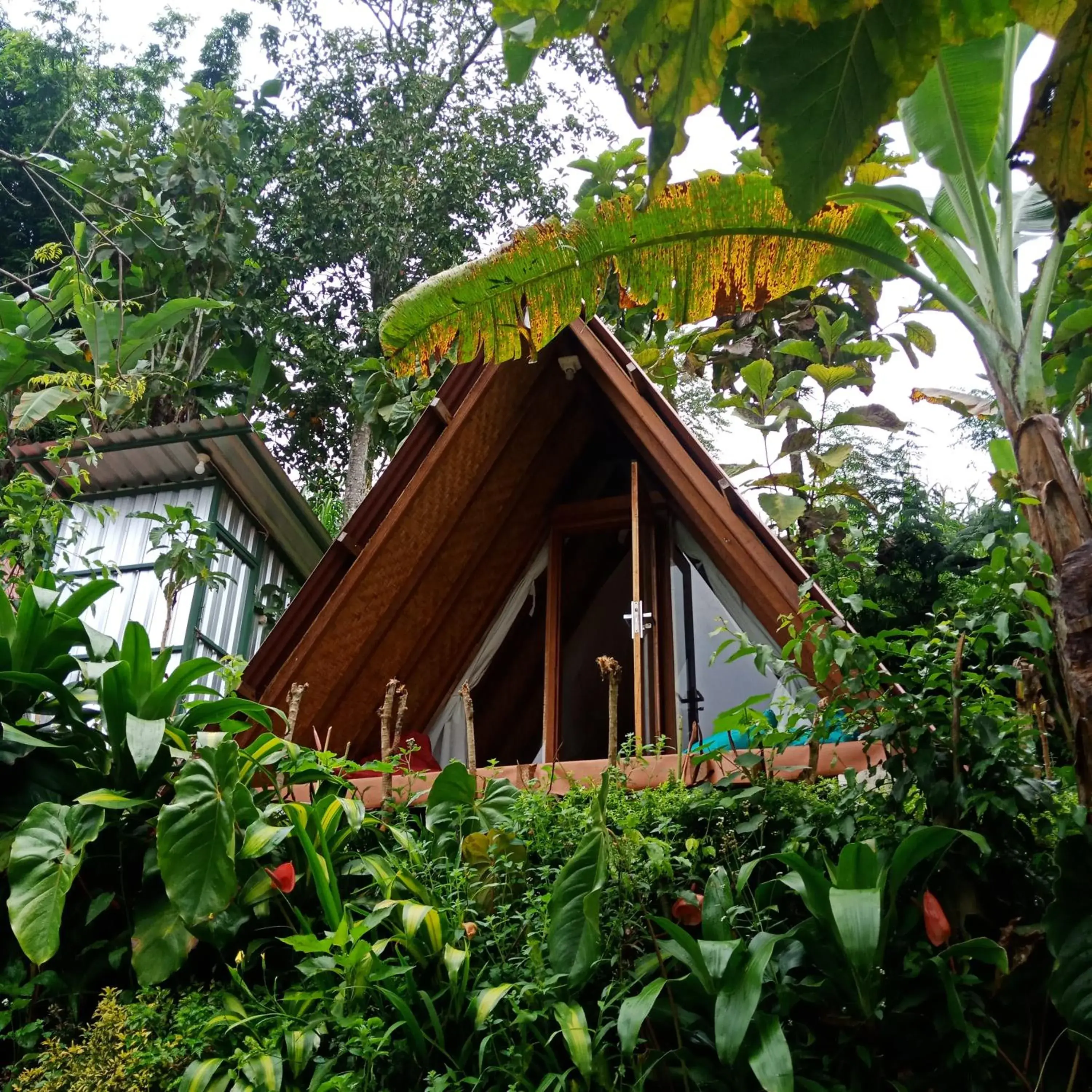 ECO Bedugul adventurer camp ECO Bedugul adventurer camp