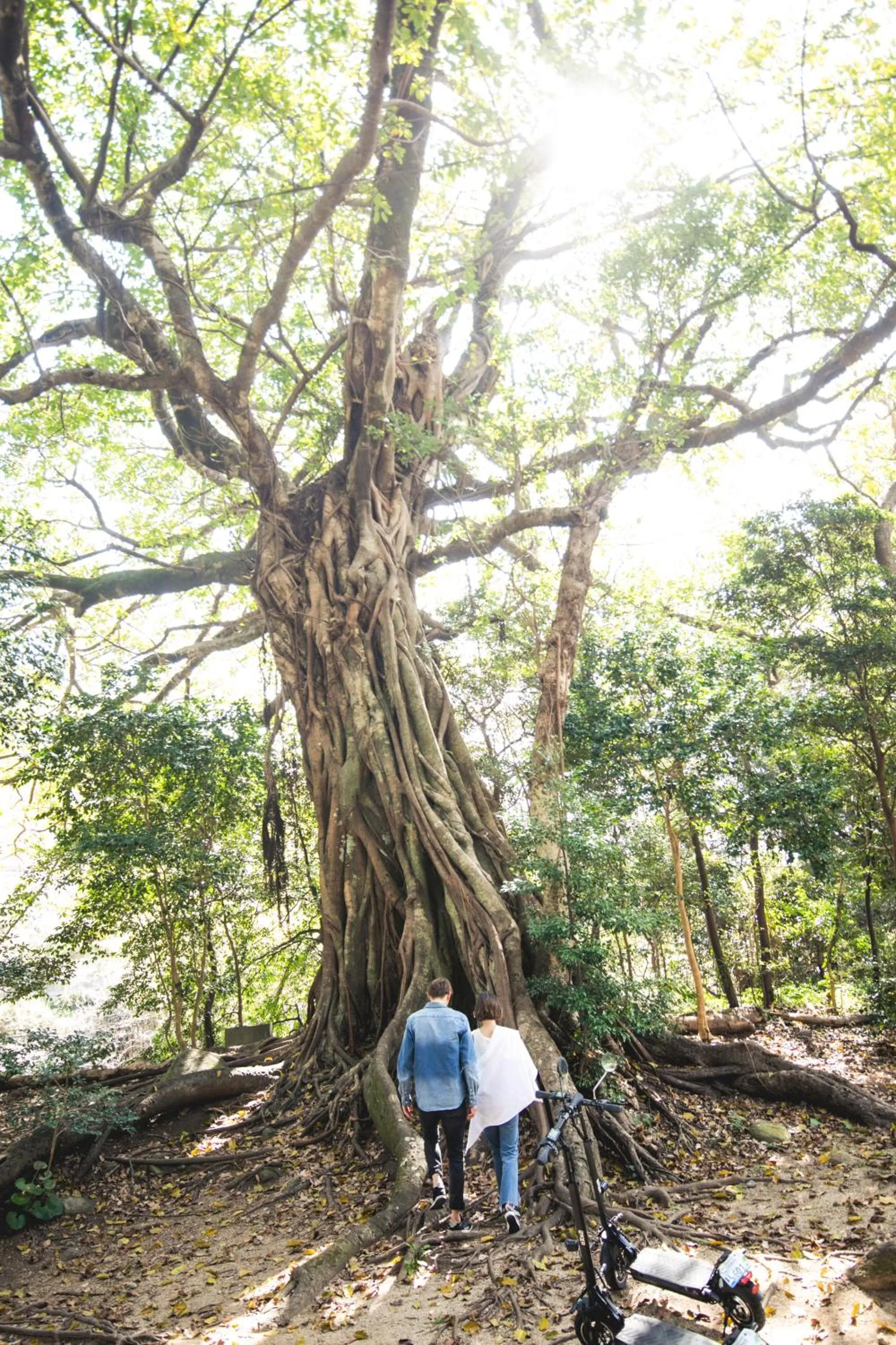 Nearby landmark in TheMana Village