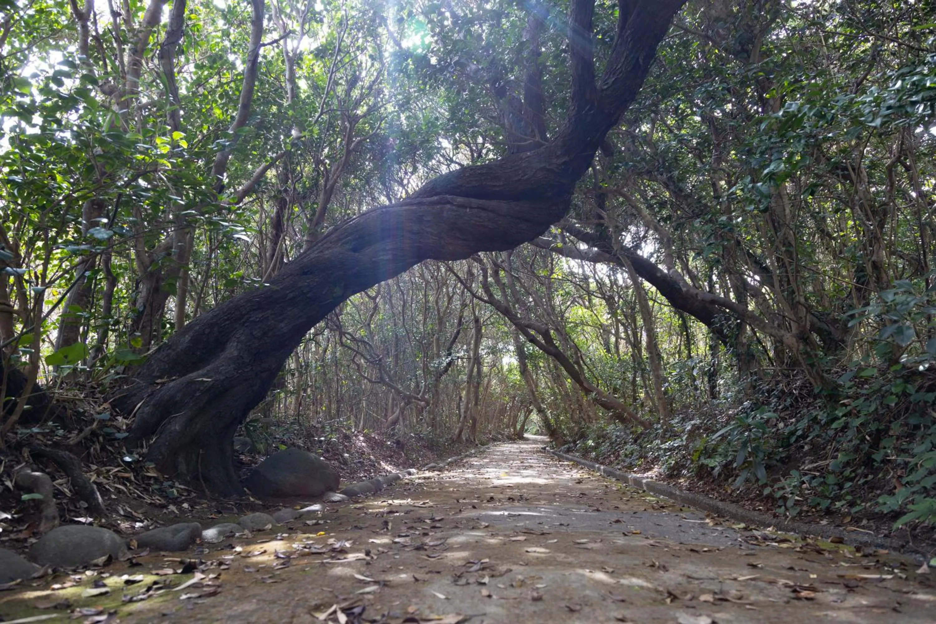 Cycling in TheMana Village