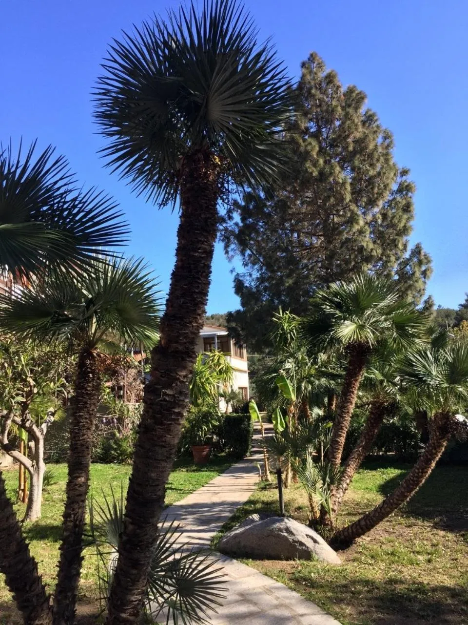 Spring in Eden Park Hotel