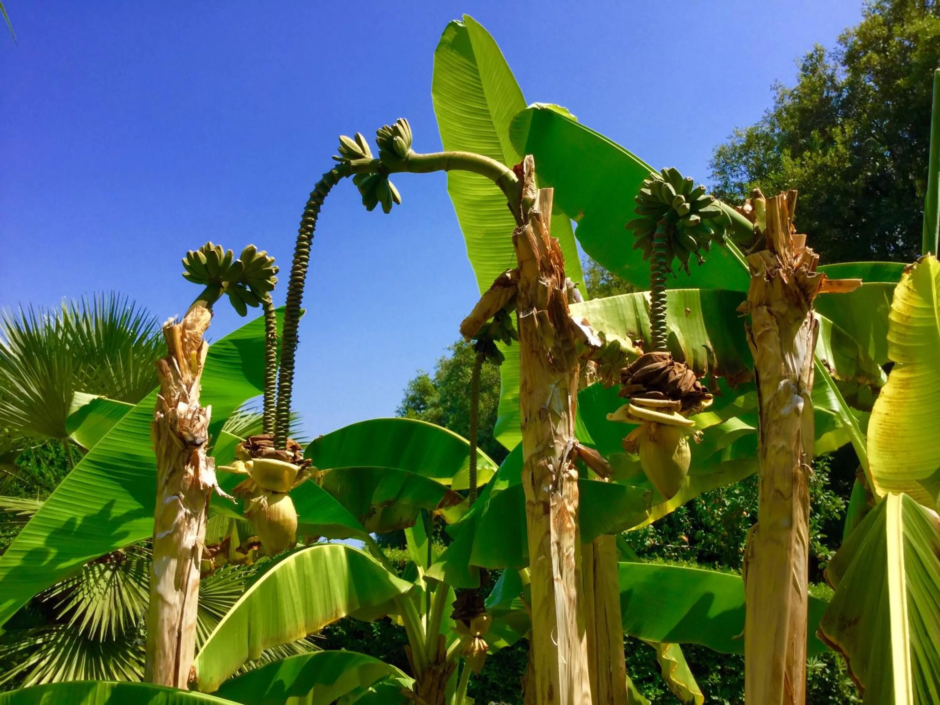 Day in Eden Park Hotel