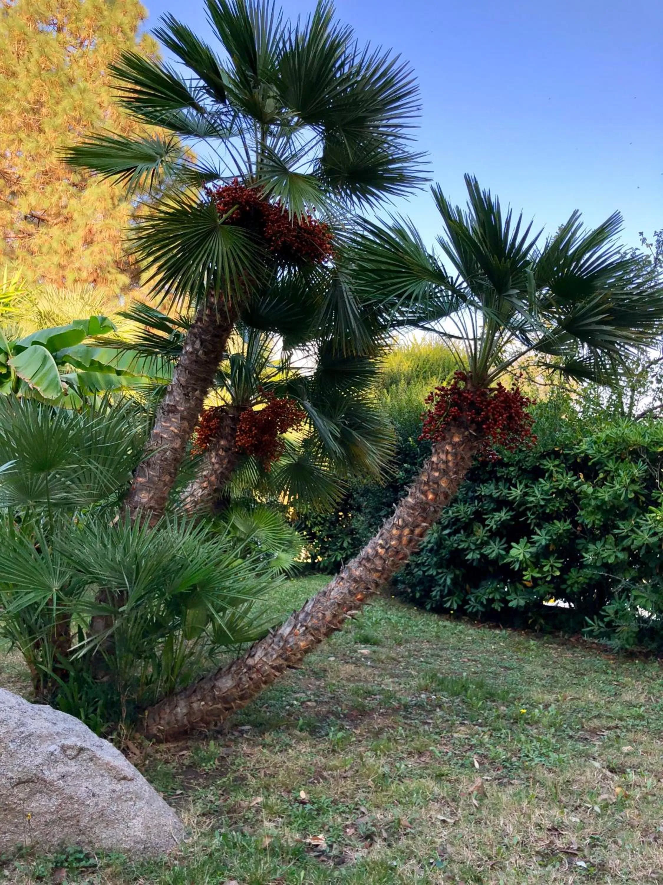 Spring in Eden Park Hotel