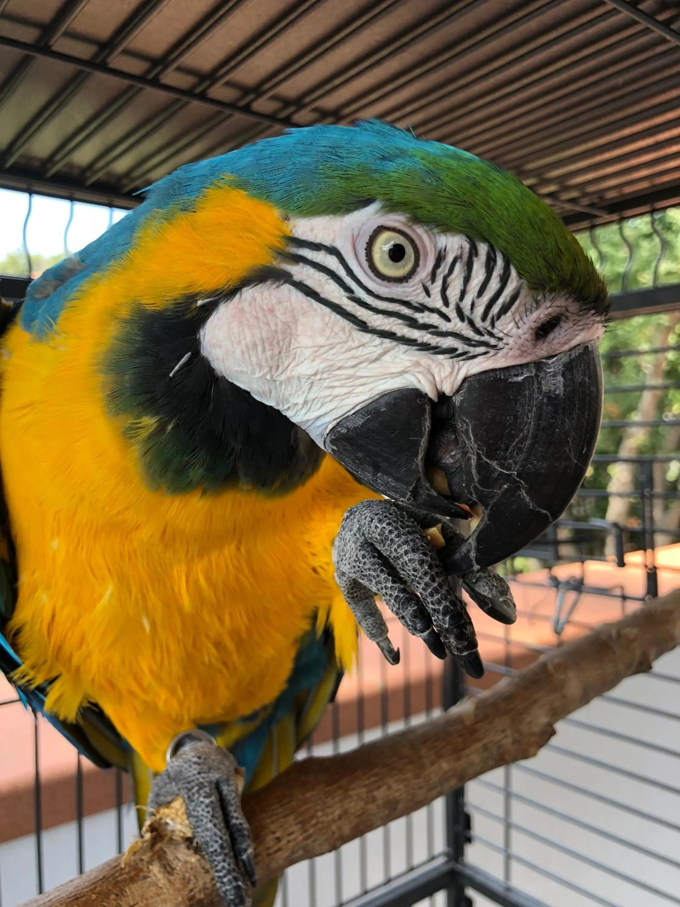 Day in Eden Park Hotel