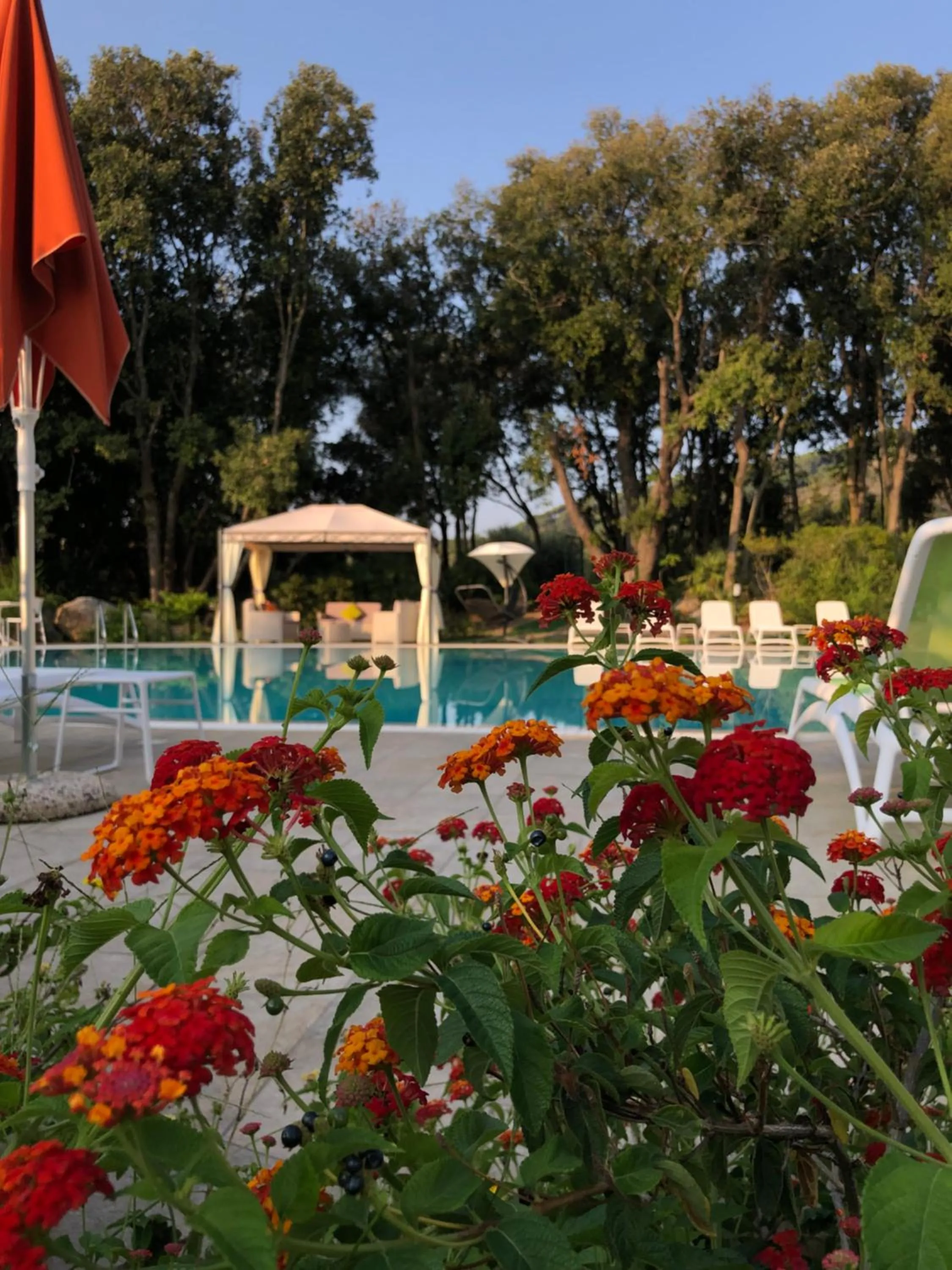 Day in Eden Park Hotel